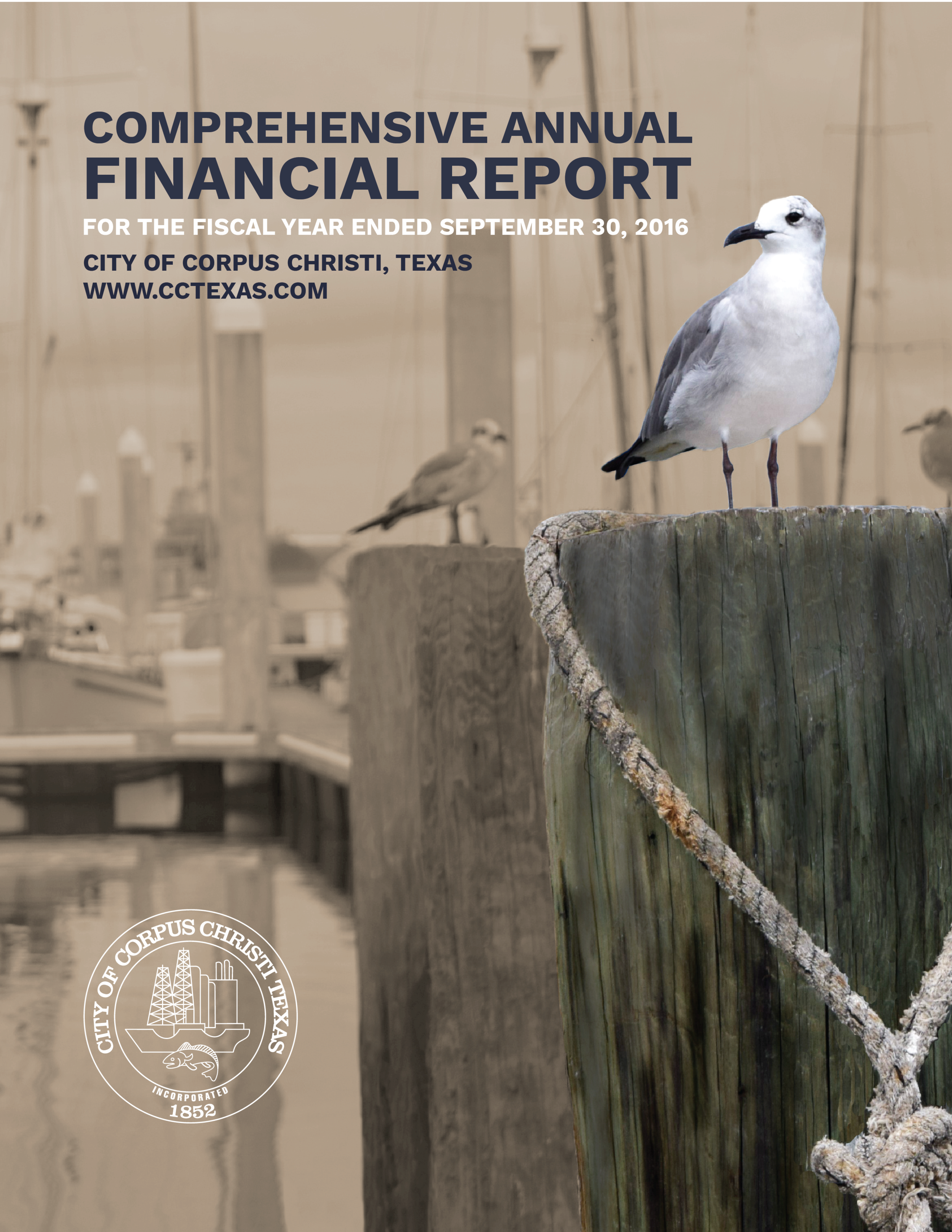 CAFR2016_Cover_8.5x11_wtext.webp
