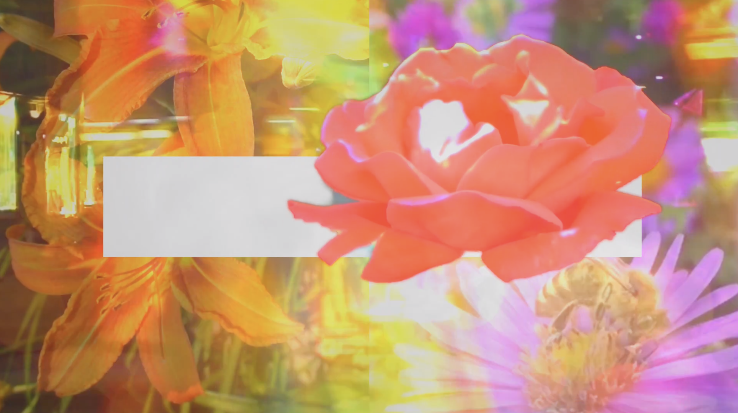 Screen+Shot+2019-05-12+at+2.33.07+PM.png.webp