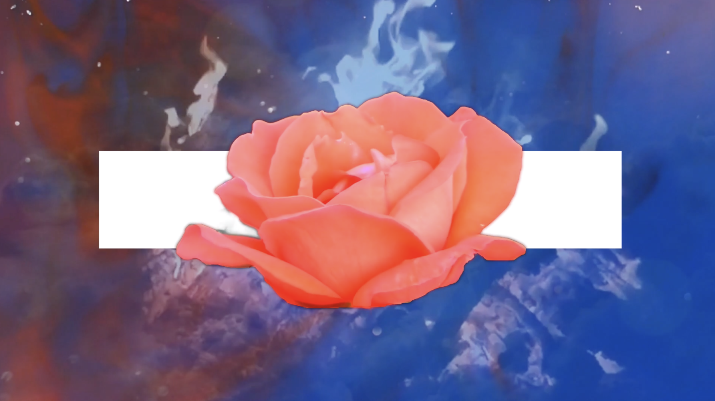 Screen+Shot+2019-05-12+at+2.33.43+PM.png.webp