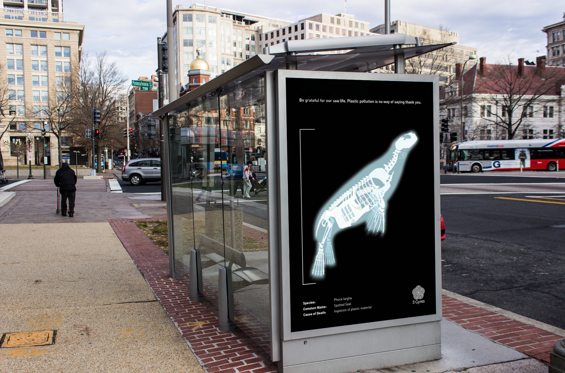 SealBusStop.webp