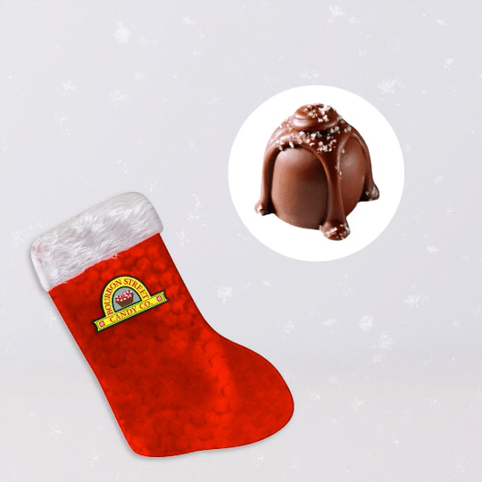 BSCC+_+Holiday+Campaign+_+Stocking+Gif-high.gif