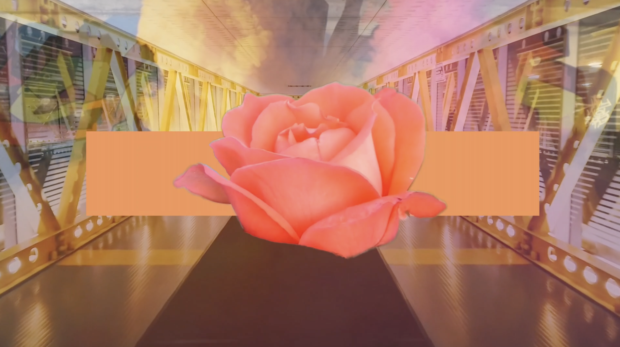 Screen+Shot+2019-05-12+at+2.30.48+PM.png.webp