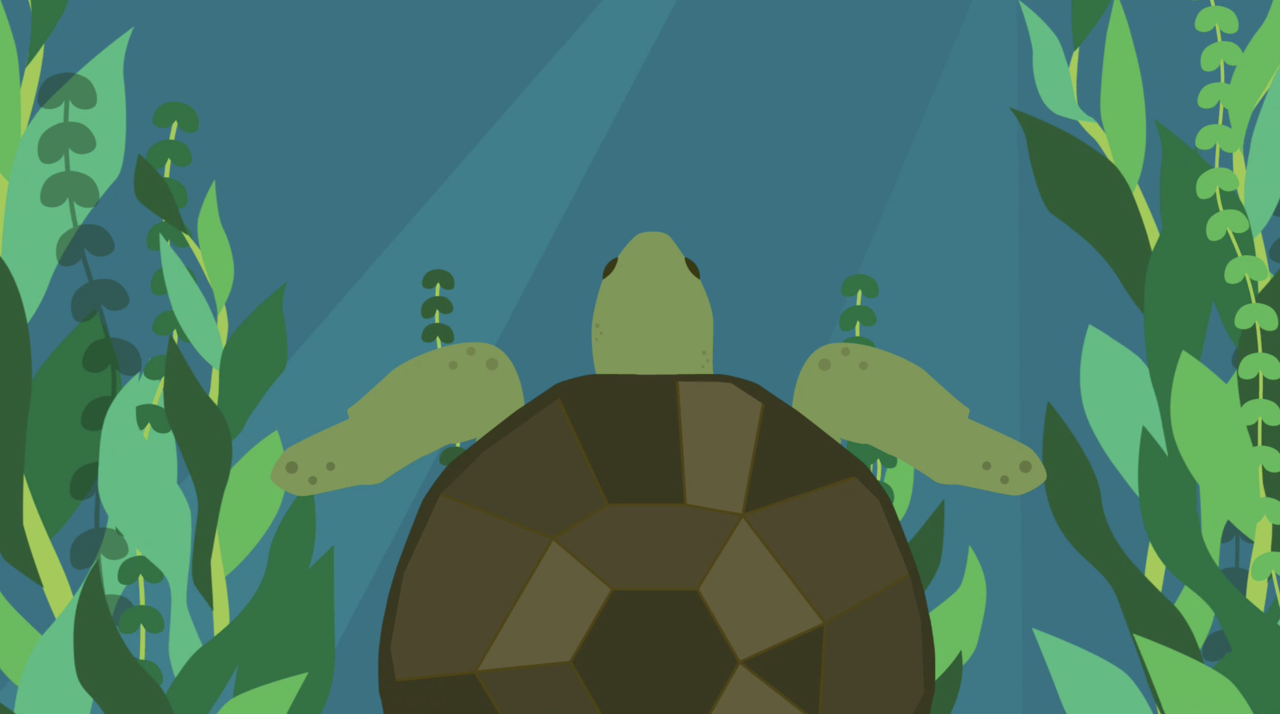 Screen+Shot+2019-03-05+at+8.43.01+PM.png_1.webp