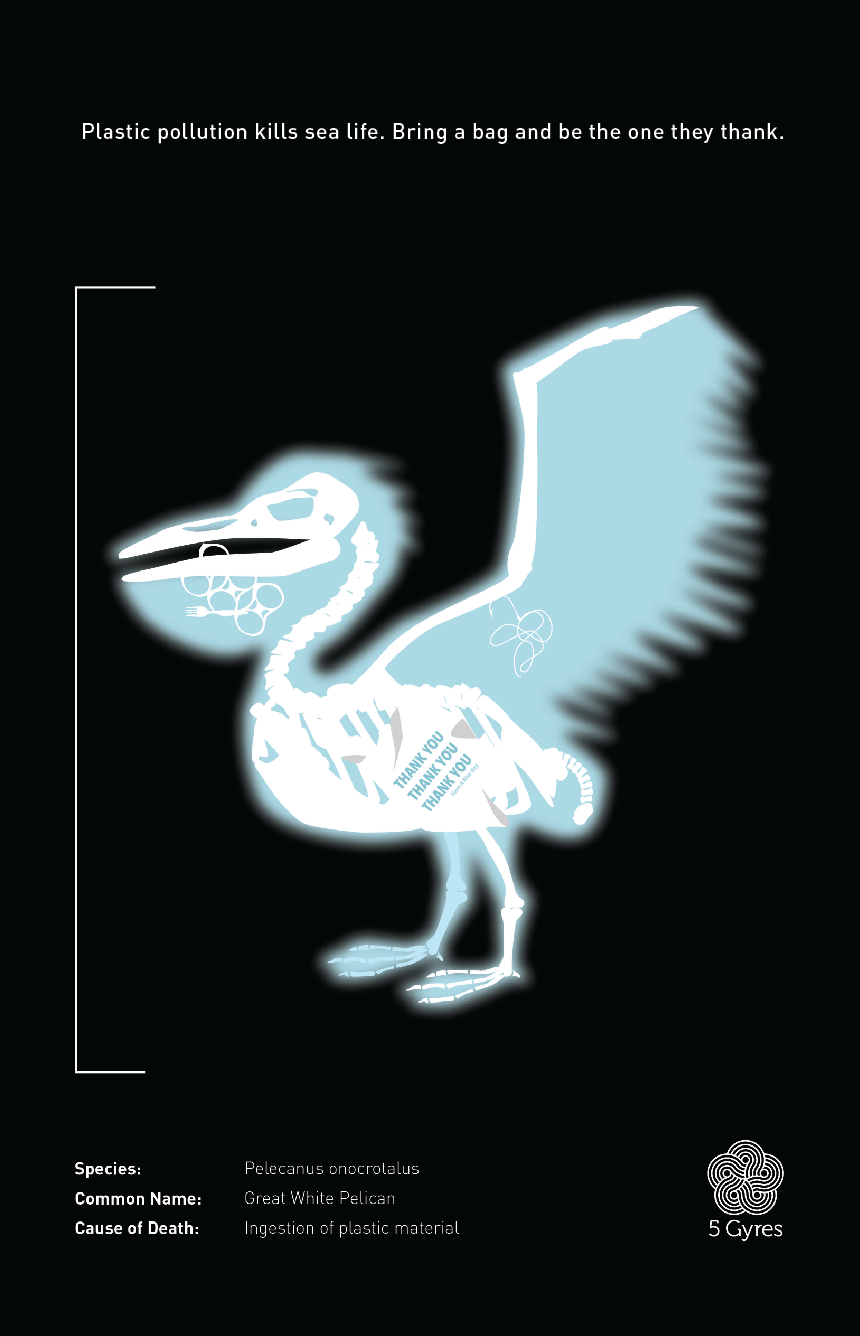 PelicanAd1.webp