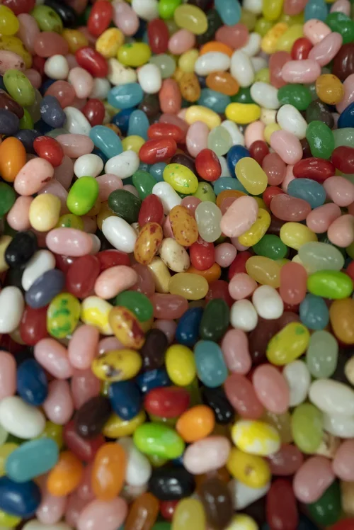 DSC00754.webp
