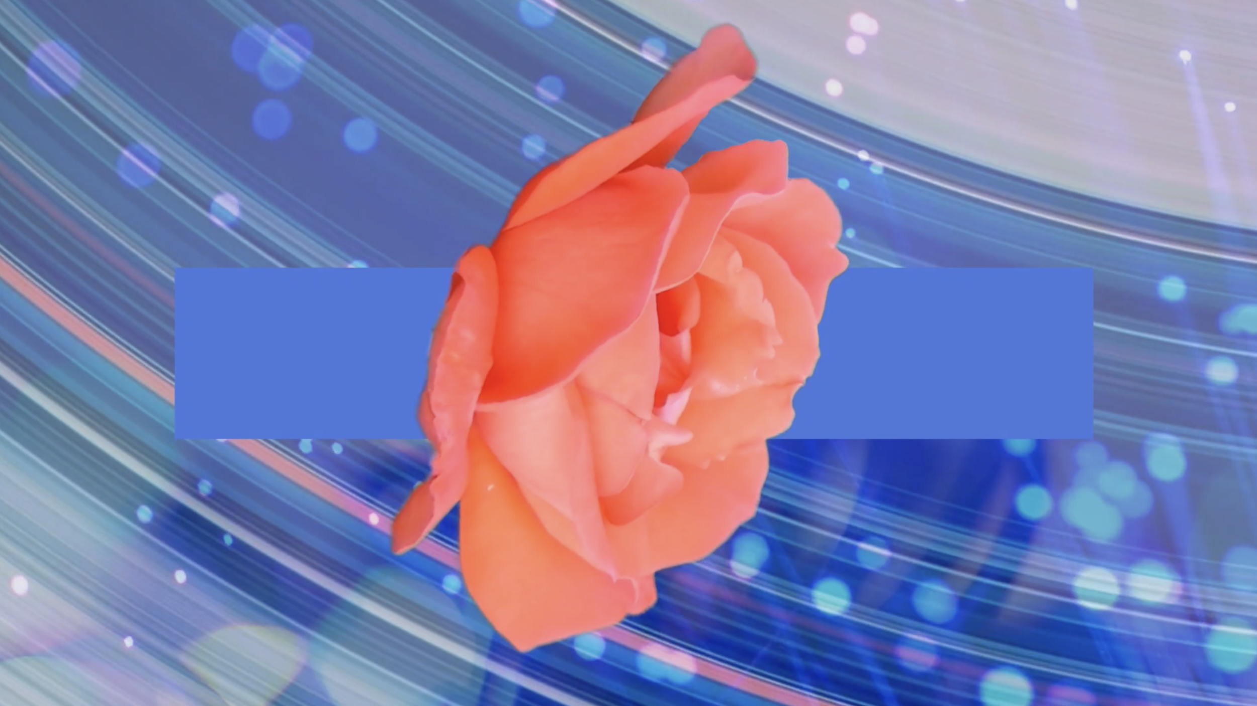 Screen+Shot+2019-05-12+at+2.31.46+PM.png.webp
