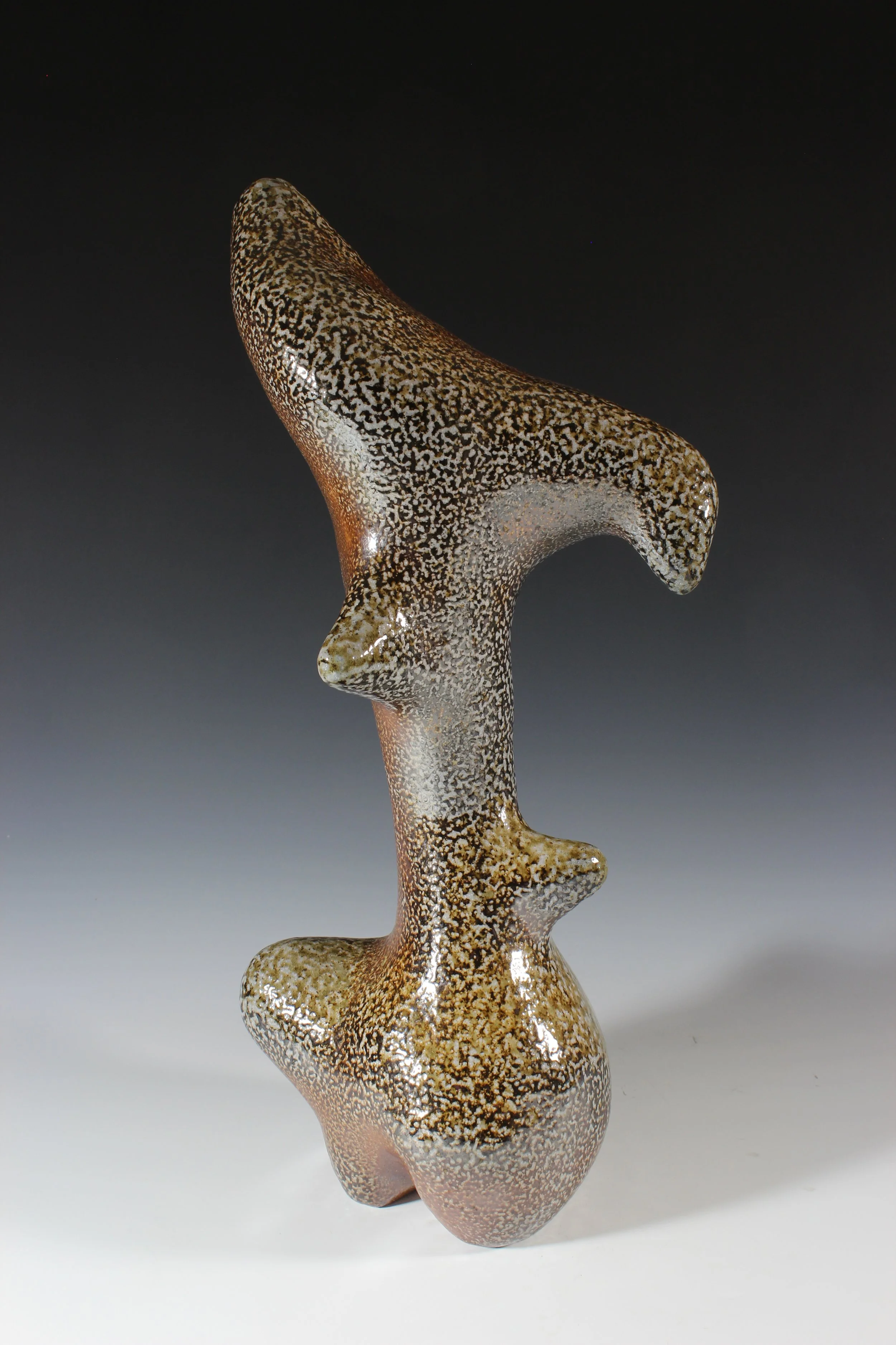 Jaguar Shark, 2018