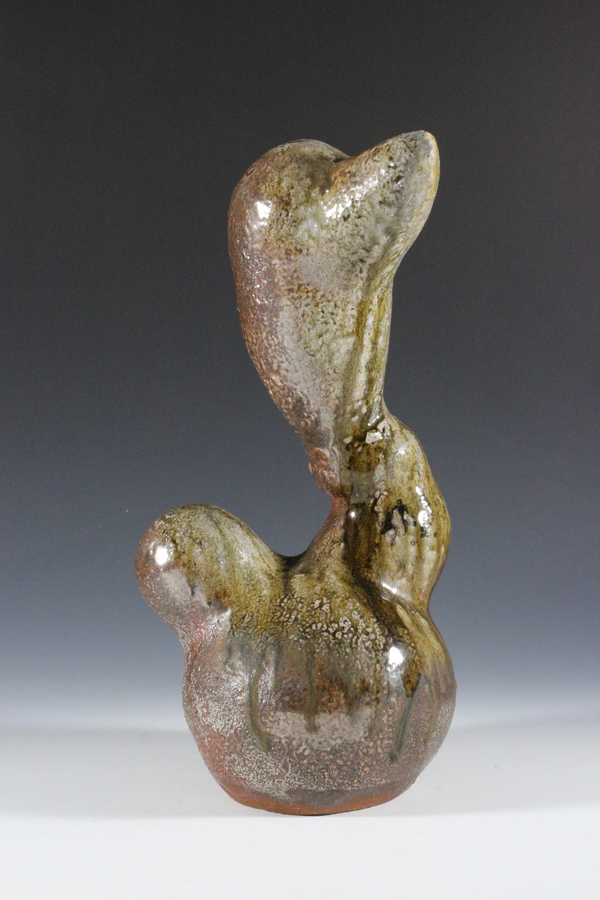 Curious, 2019