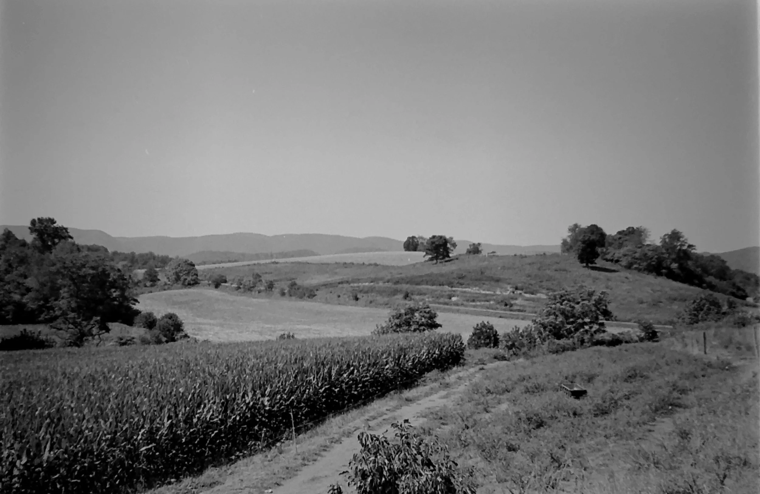 Down Five Mile Mountain, 2011