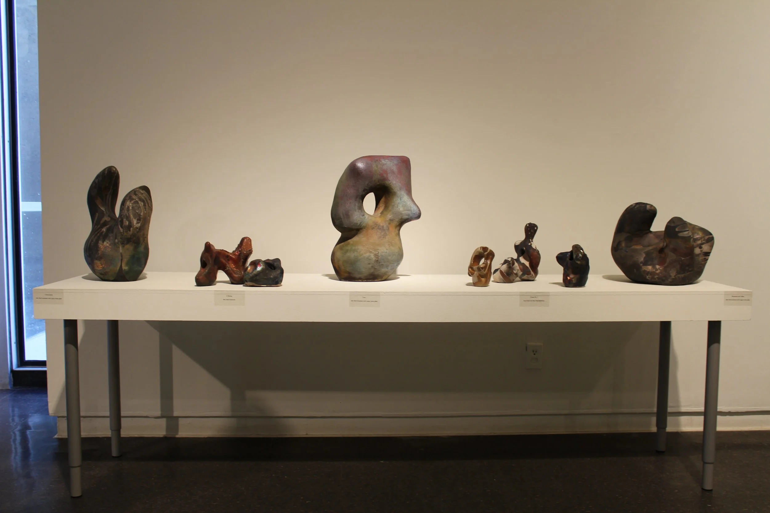 Biomorphia, Master of Fine Arts Thesis Exhibition, Kent State University, 2014
