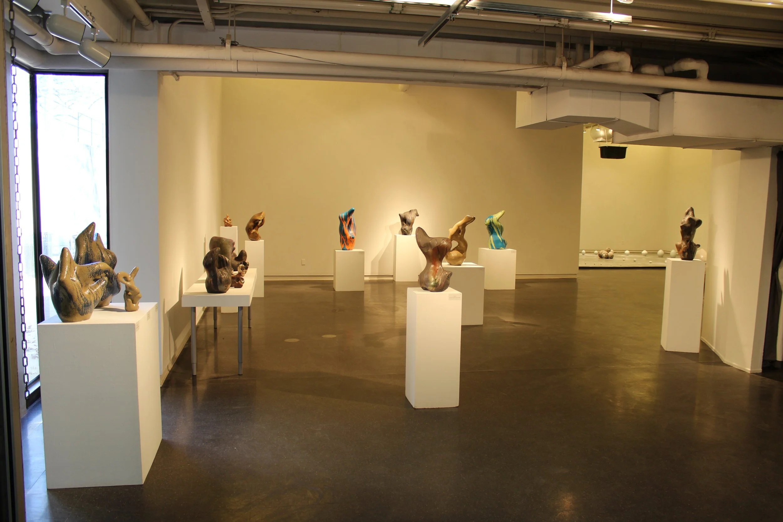 Biomorphia, Master of Fine Arts Thesis Exhibition, Kent State University, 2014