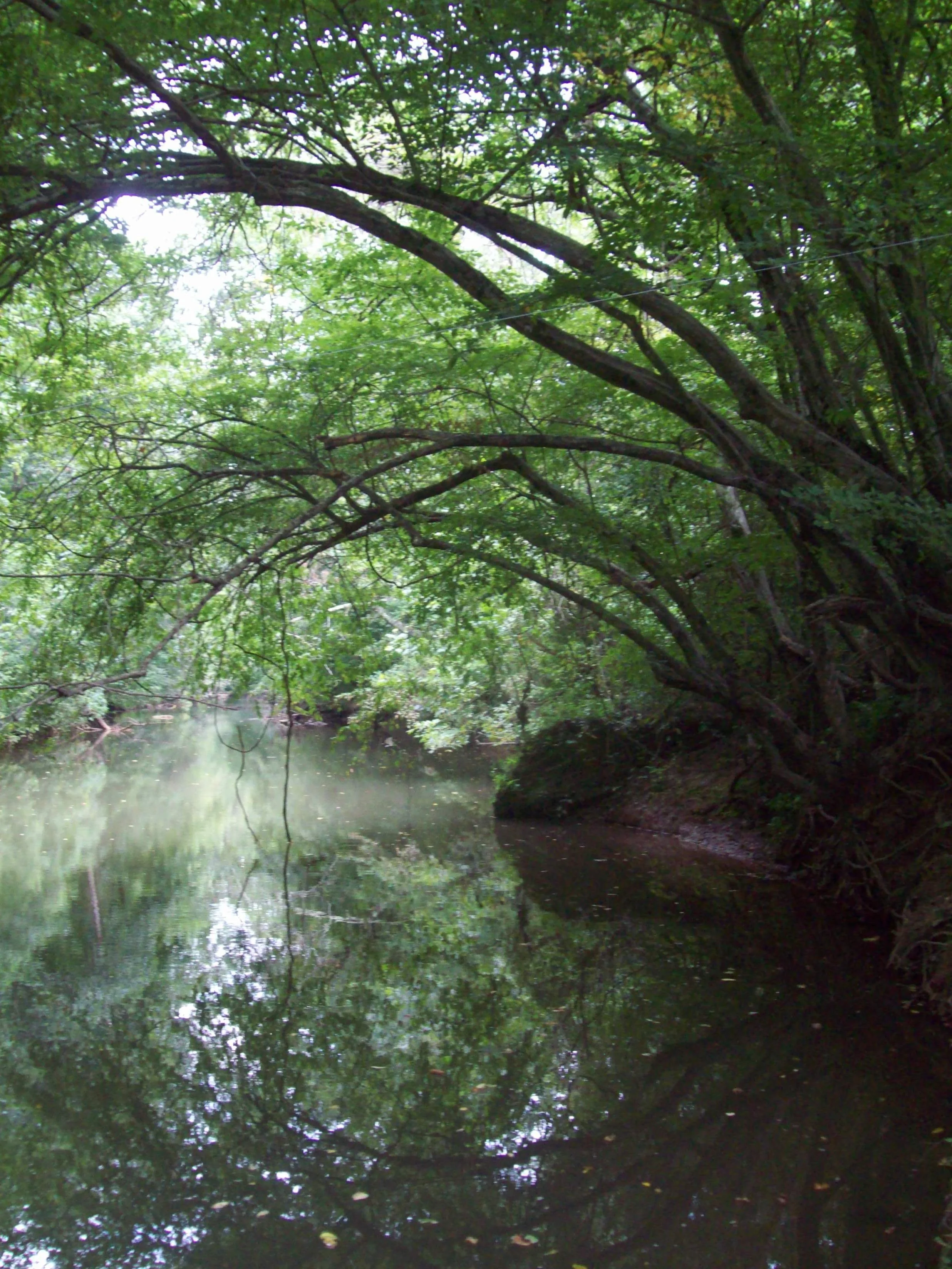 Green River, 2015
