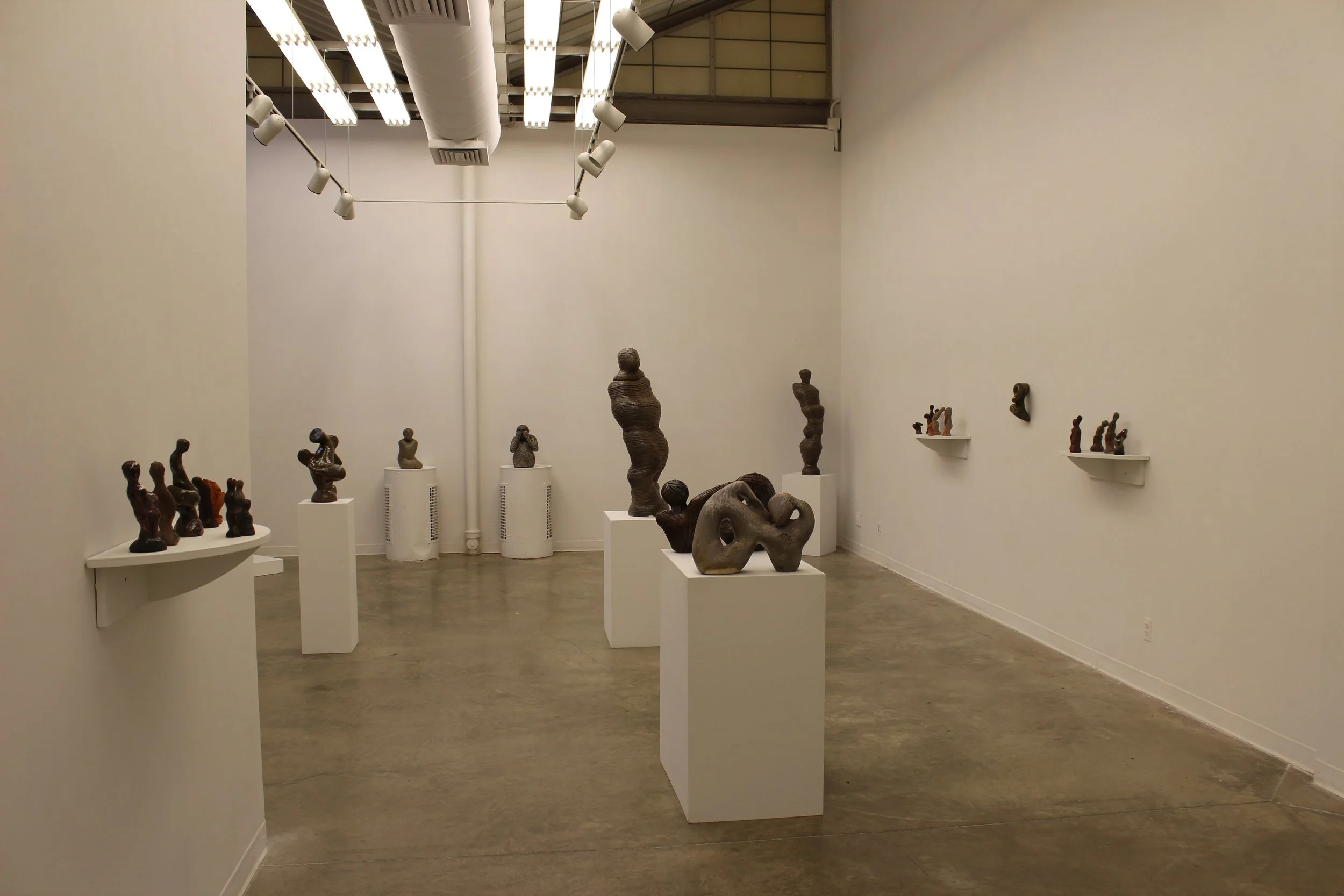Master of Fine Arts Candidacy Exhibition, Kent State University, 2013