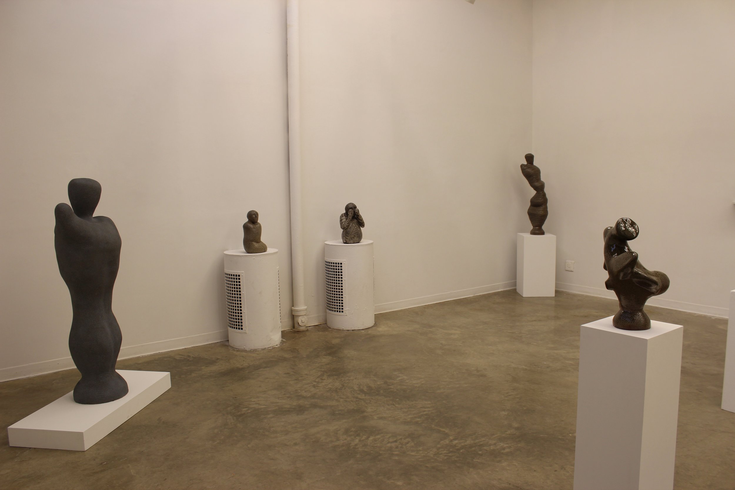 Master of Fine Arts Candidacy Exhibition, Kent State University, 2013