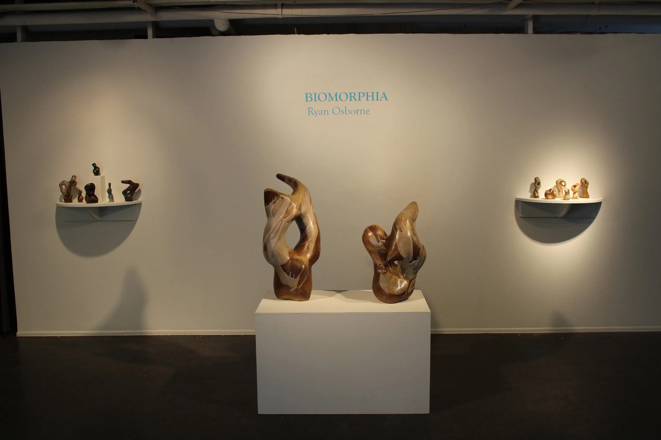 Biomorphia, Master of Fine Arts Thesis Exhibition, Kent State University, 2014