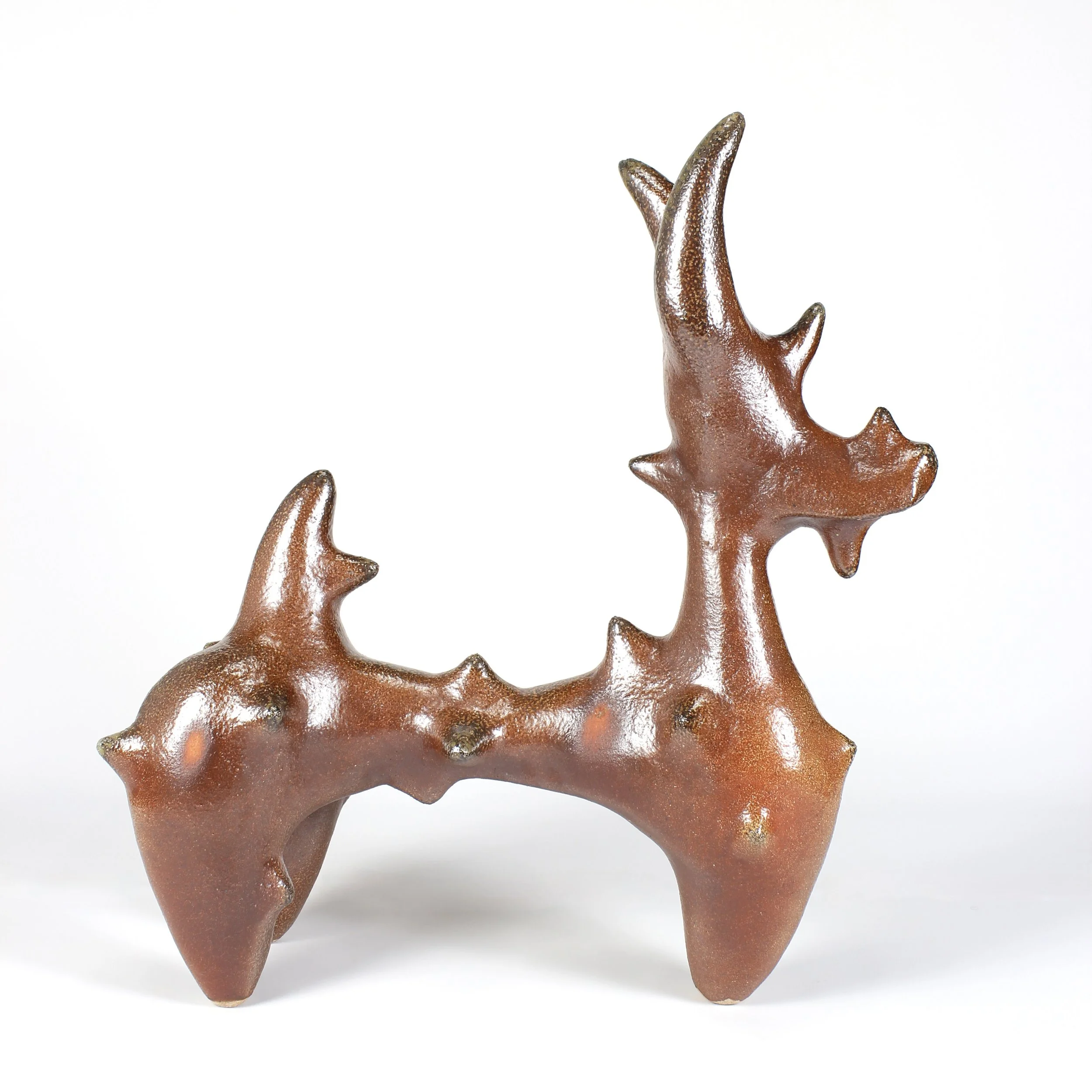 Black-Tipped Spikey Dog, 2025