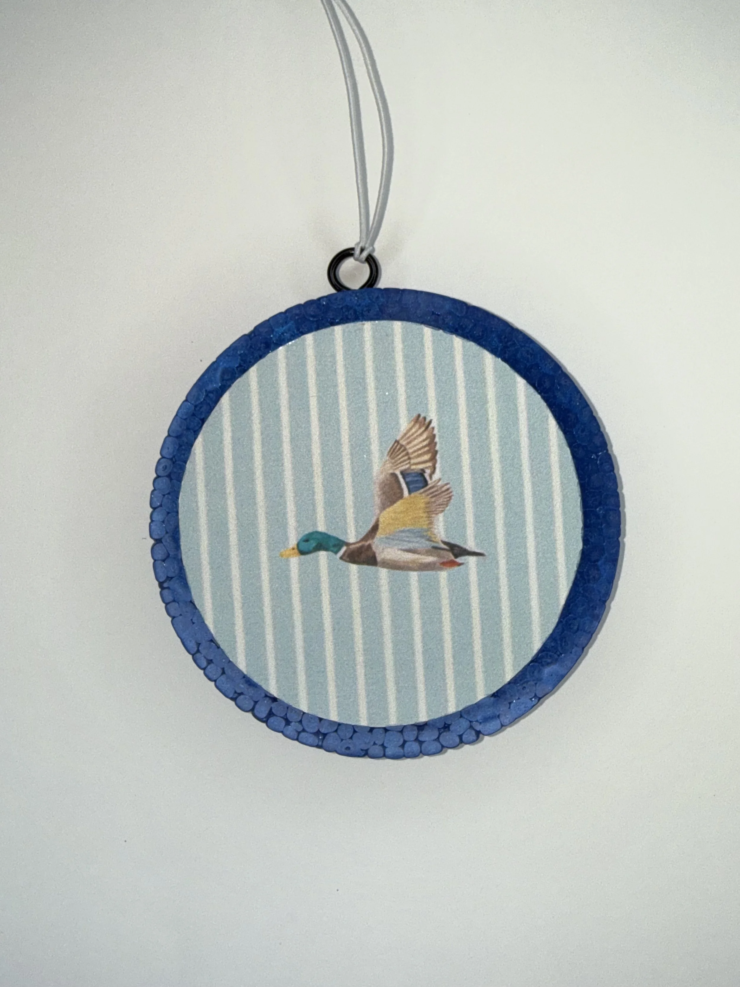 Blue Striped Bird