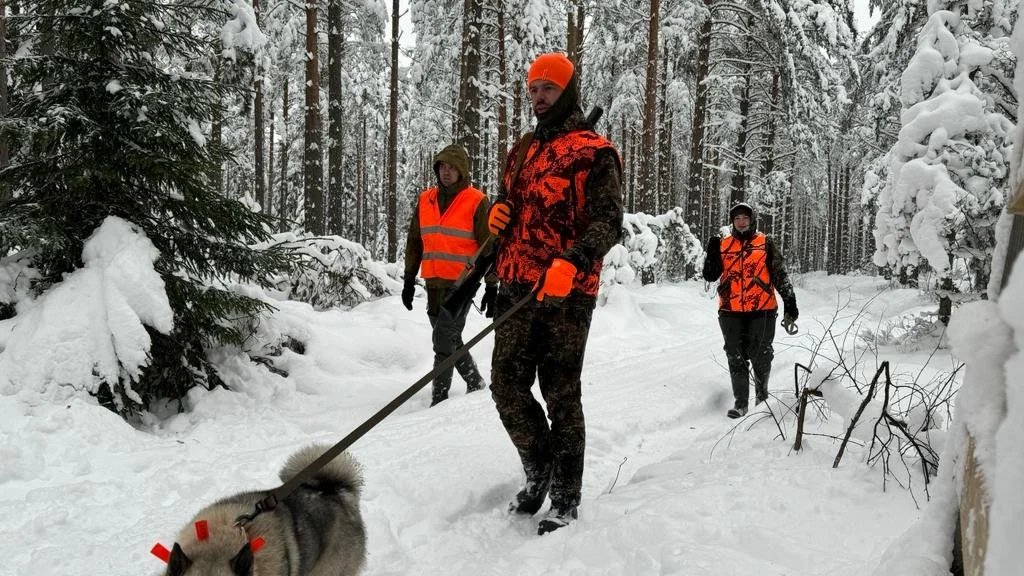 Tre jägare i orange och camouflagemönster markerar i snön i en skog, en av dem håller ett vapen och det finns en hund framför dem.