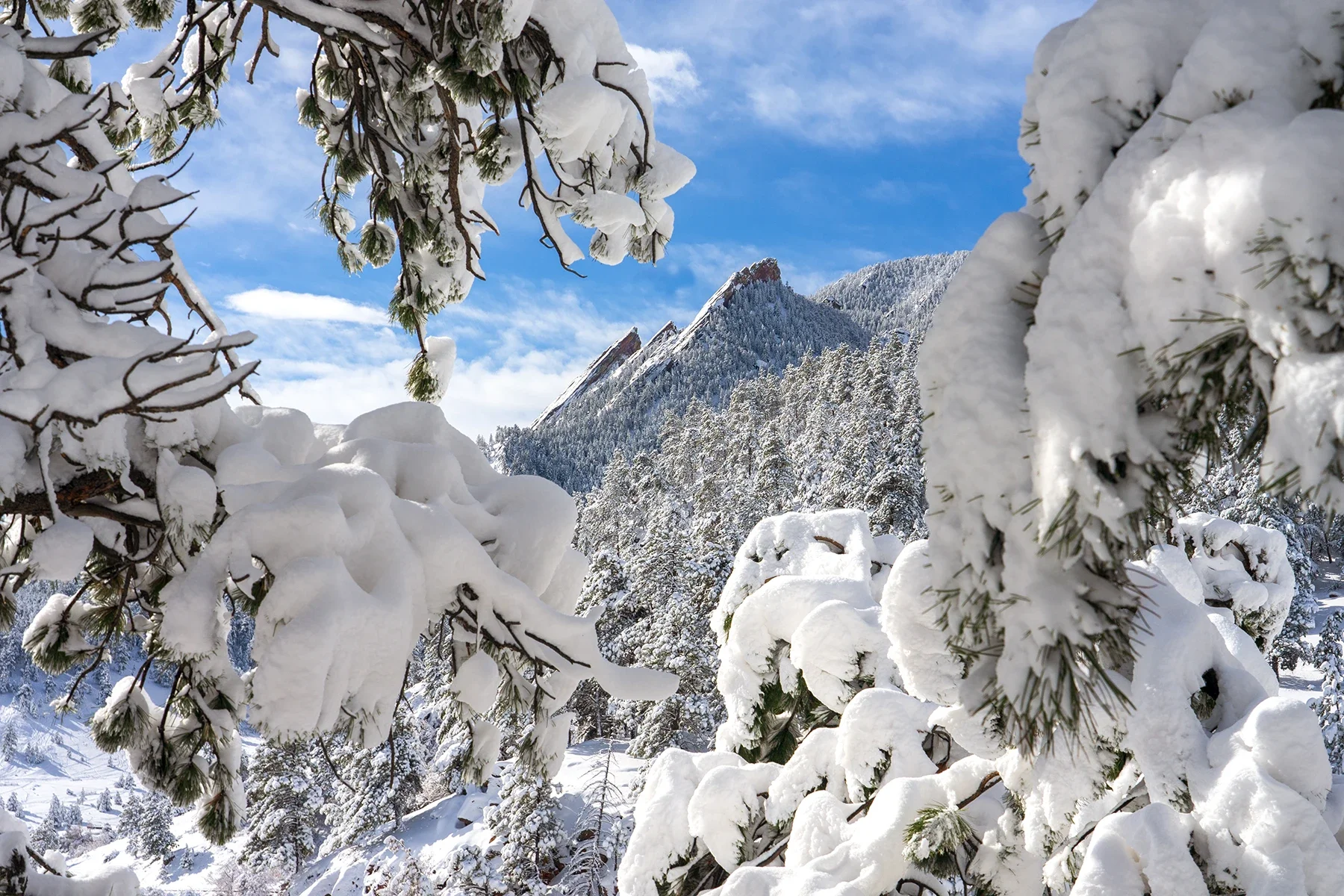 Checho-BoulderFlatirons.webp