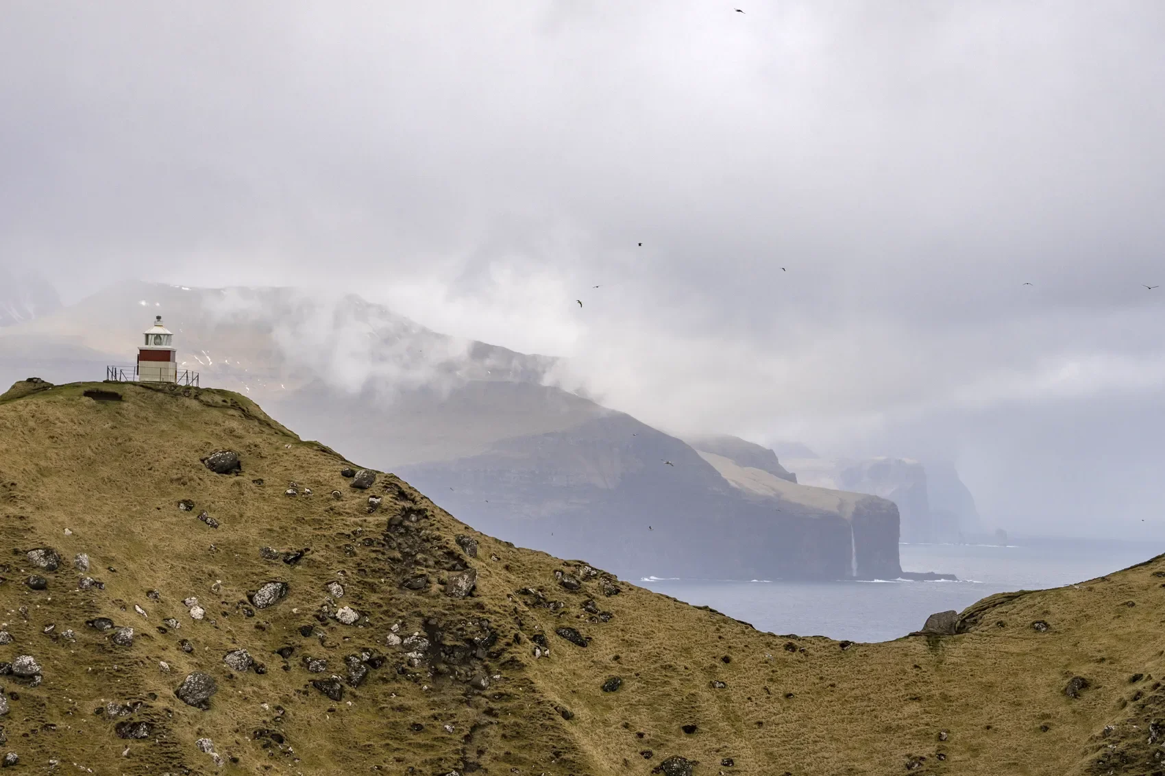 Checho-Kalsoy-09312.webp