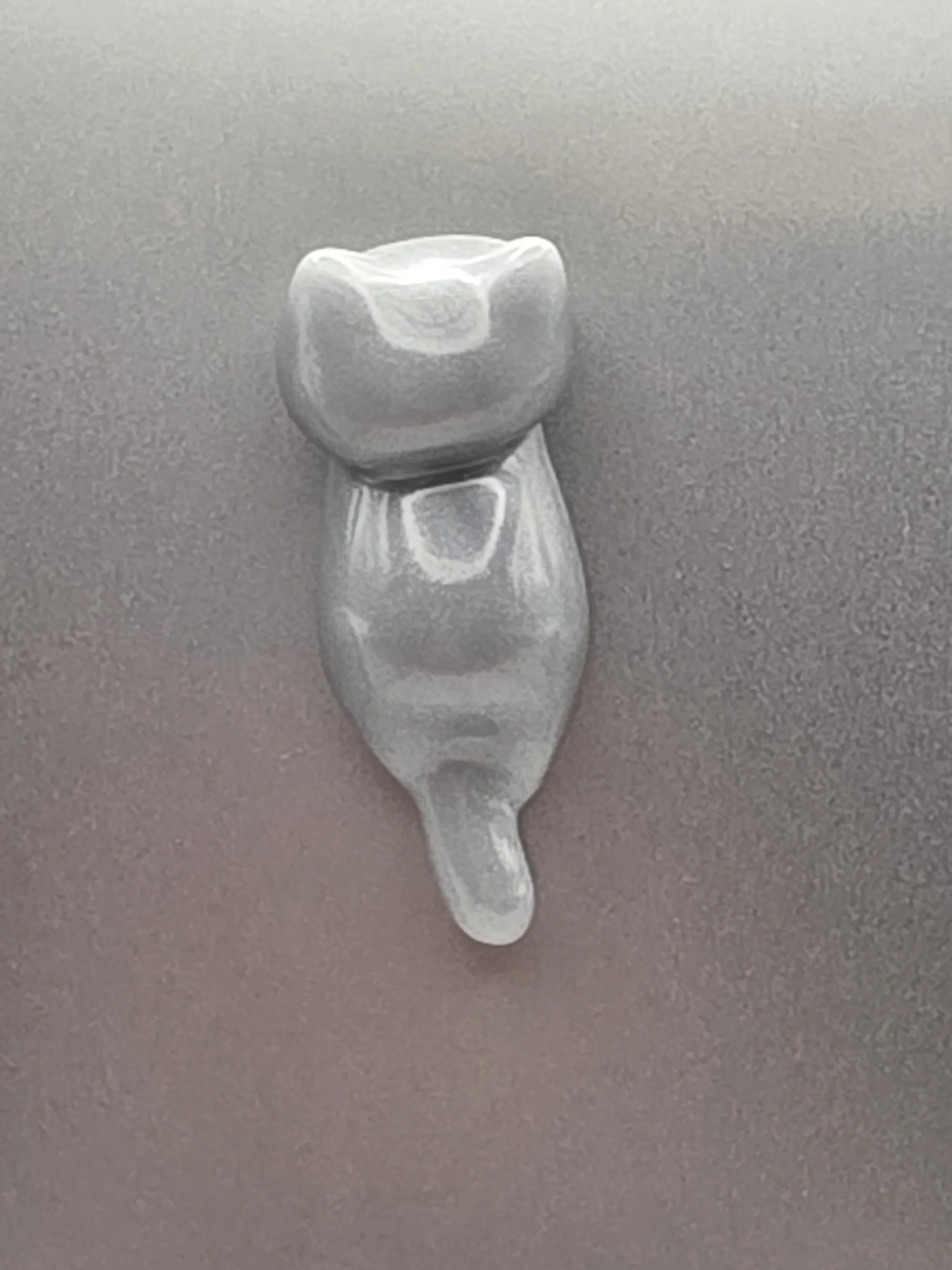 20260905_100222.jpg