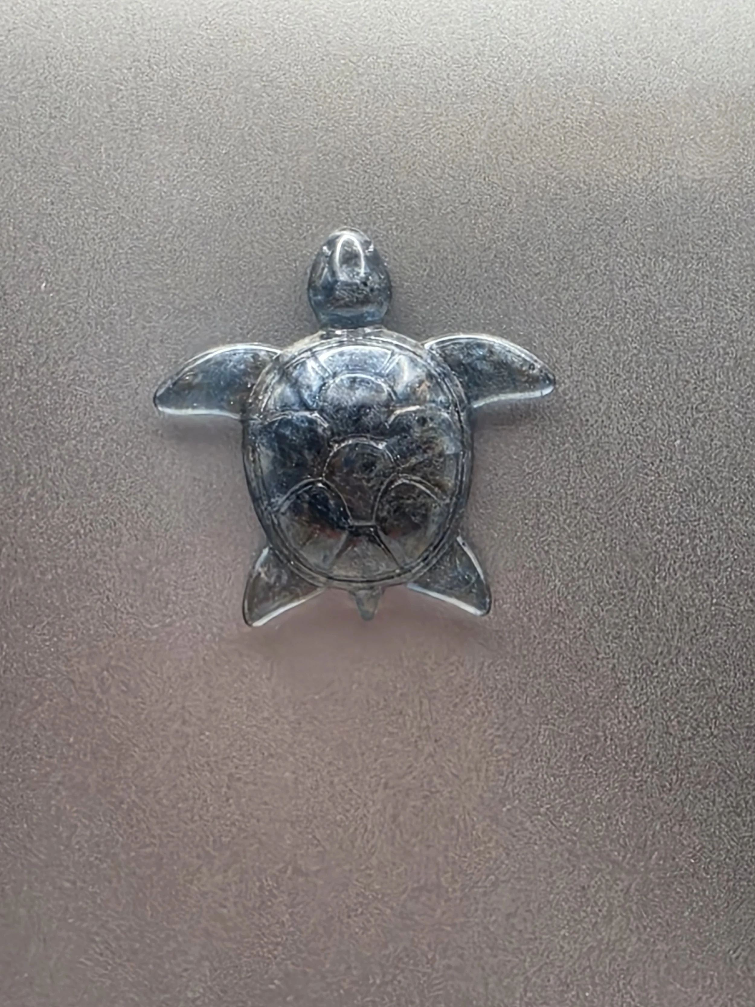 Blue & Brown Turtle Magnet