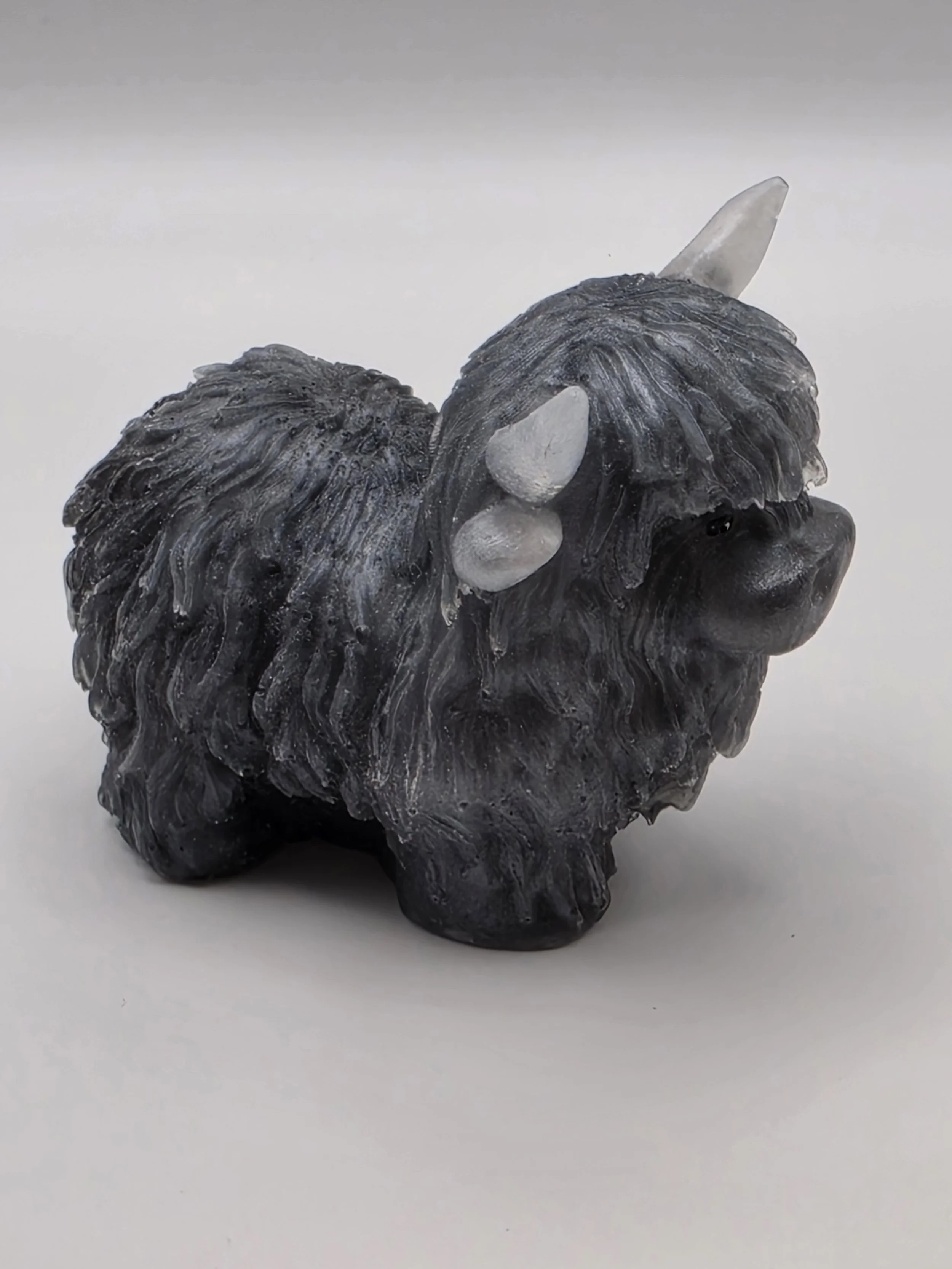Grey Highland Cow