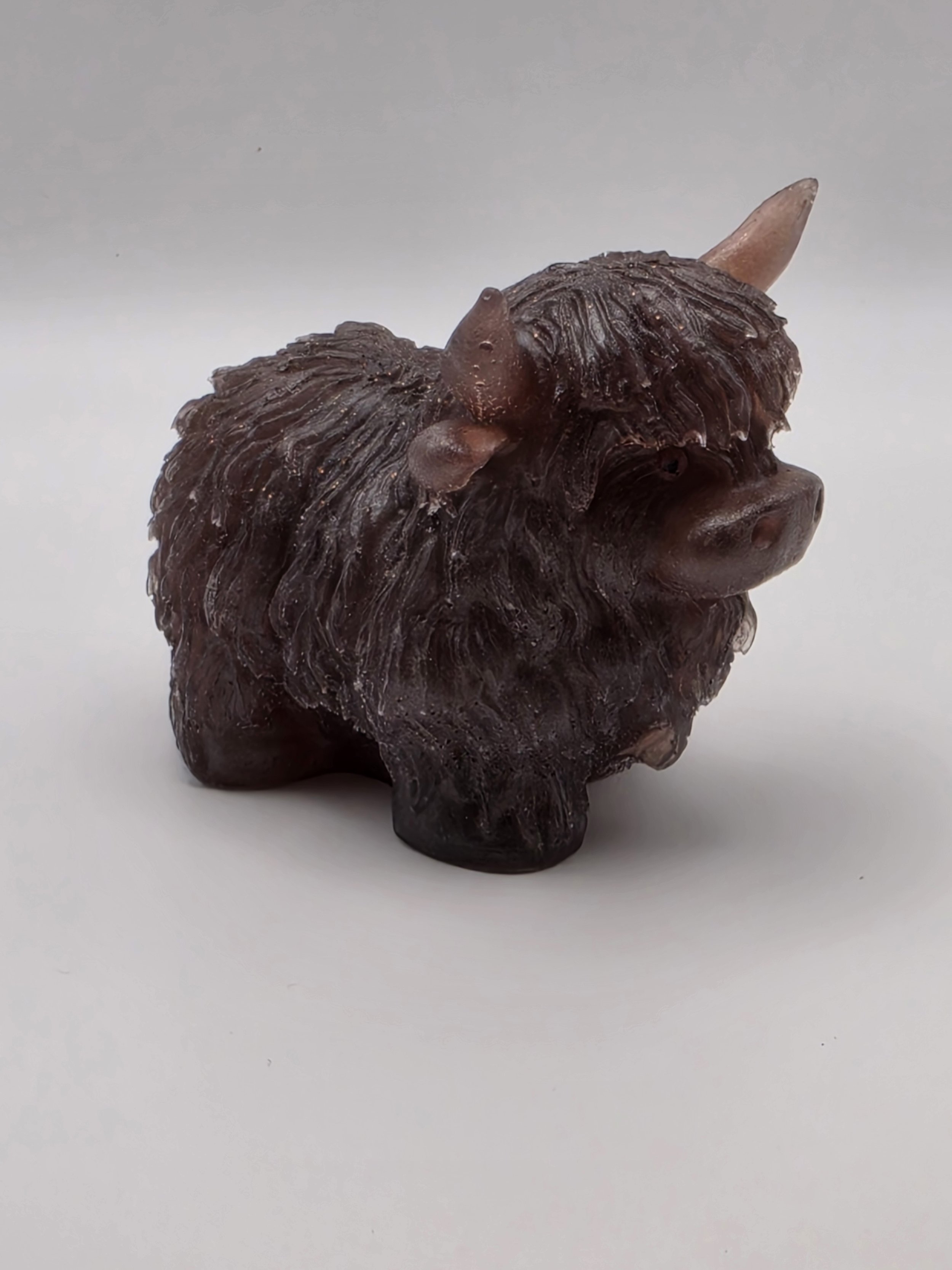 Brown Highland Cow
