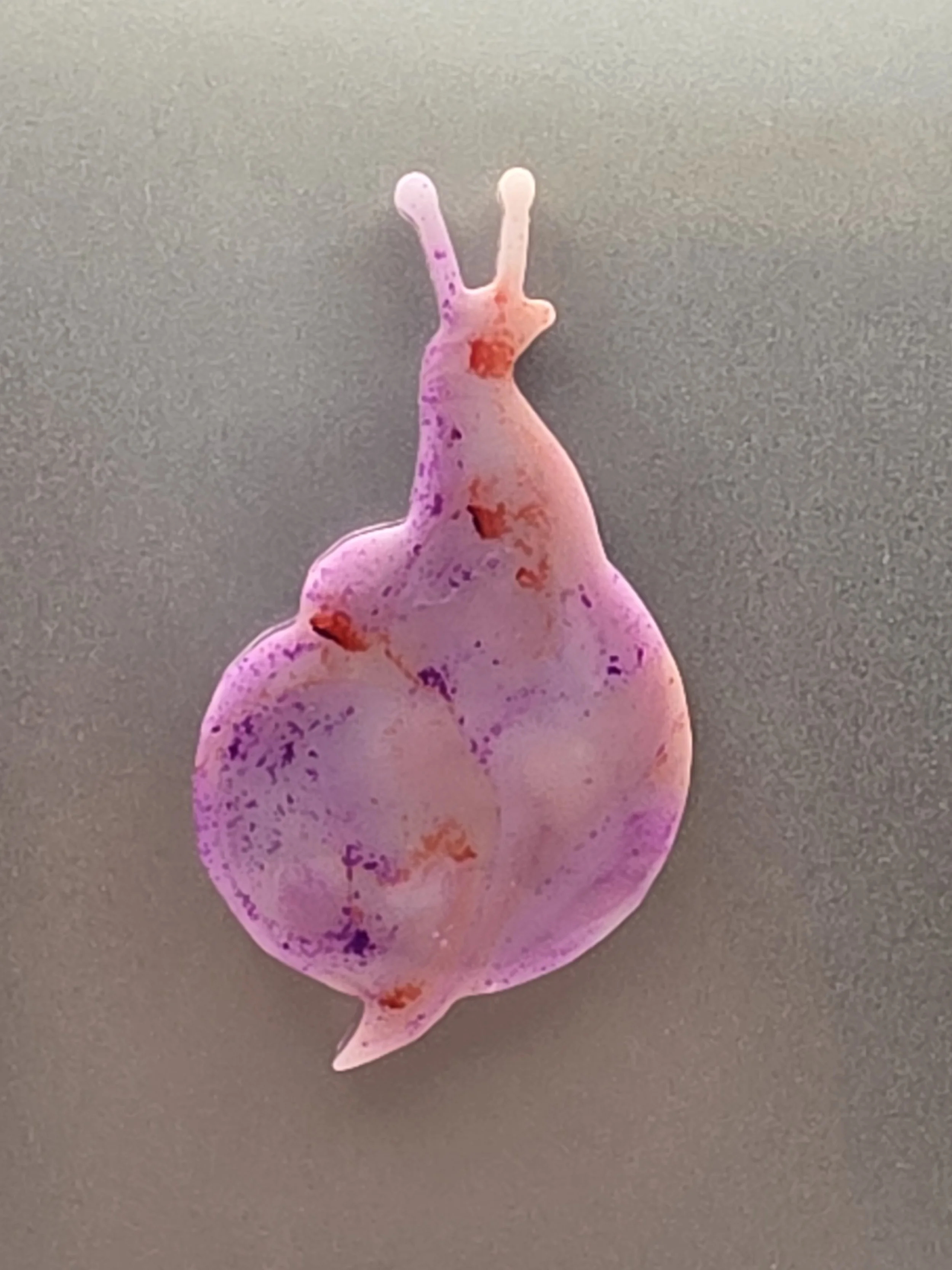 Purple Marble Snail Magnet
