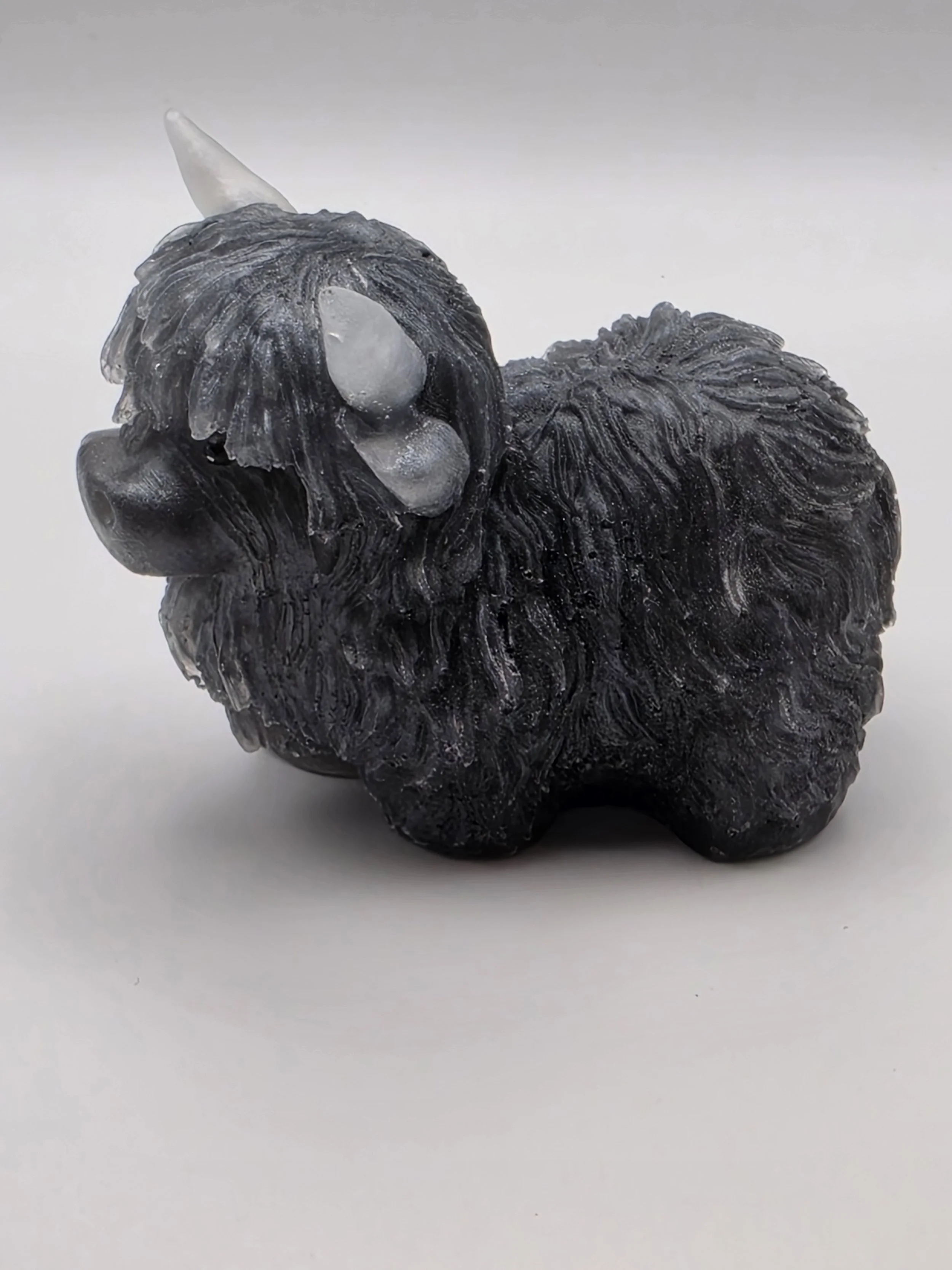 20260809_090059.jpg