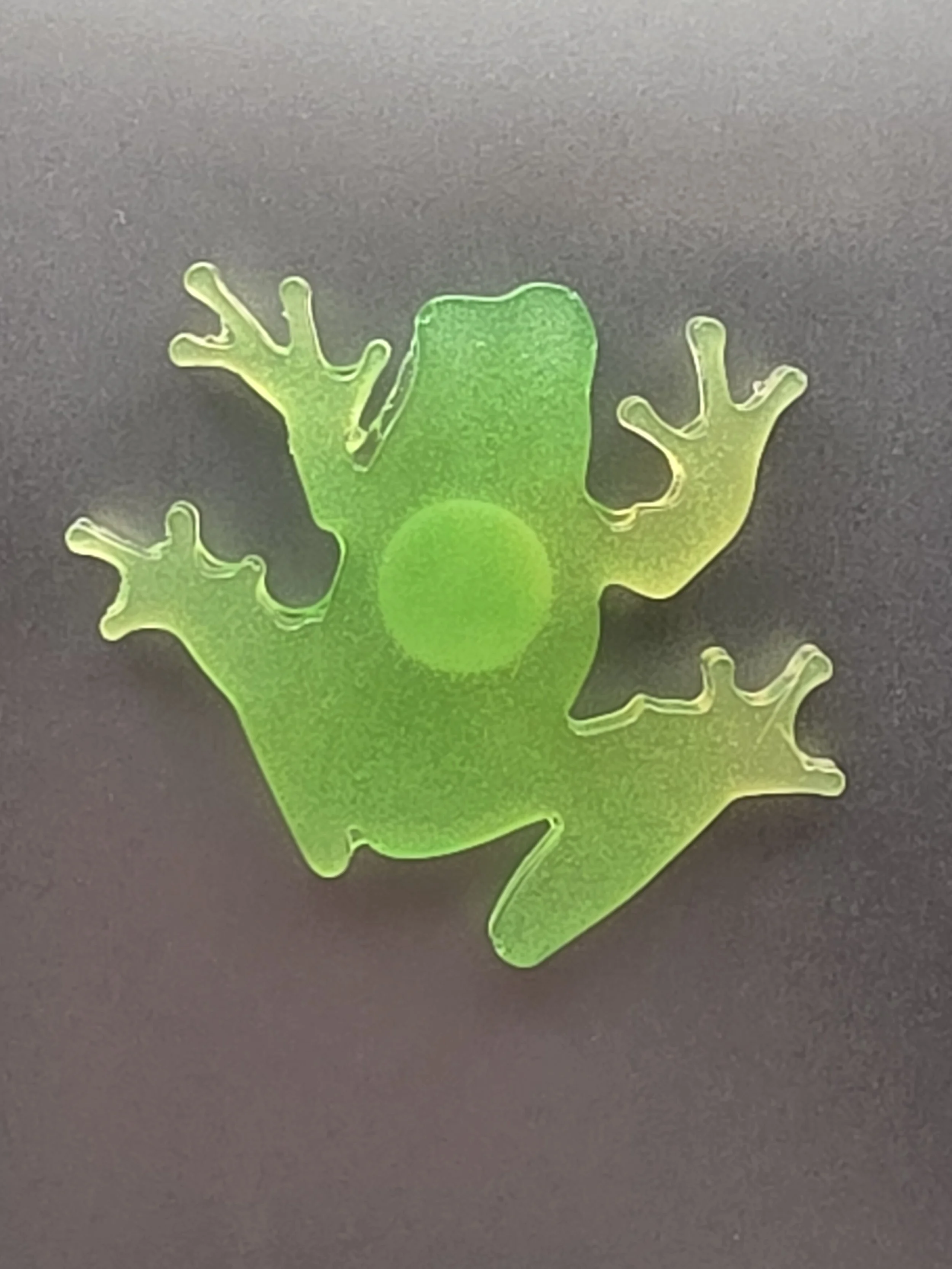 Green & Yellow Glow In The Dark Frog Magnet