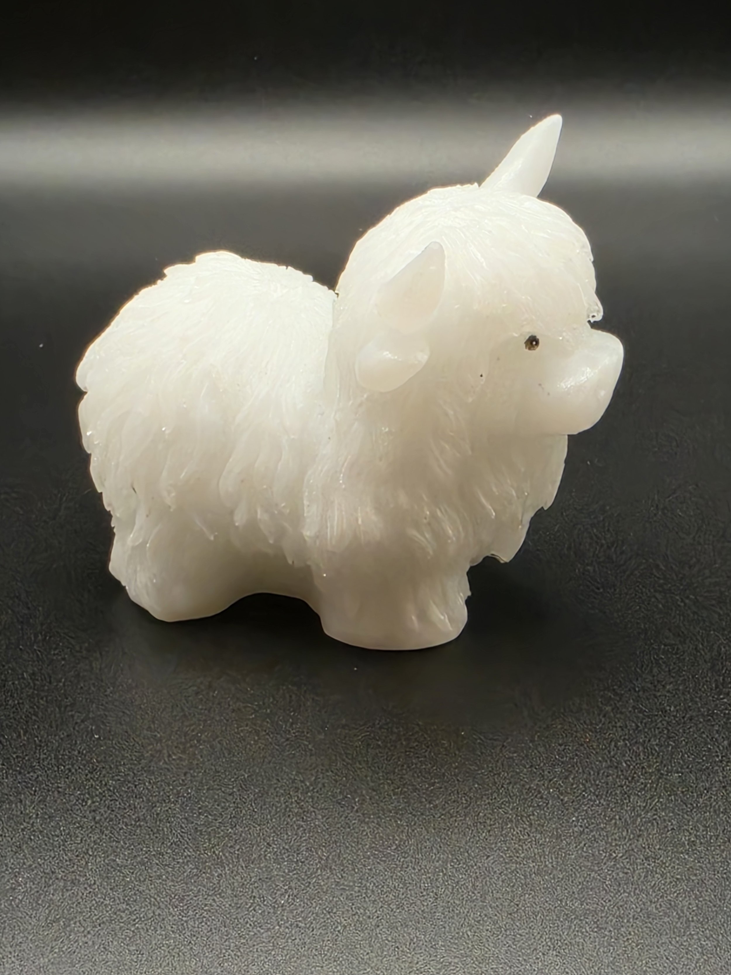 Pearl White Highland Cow