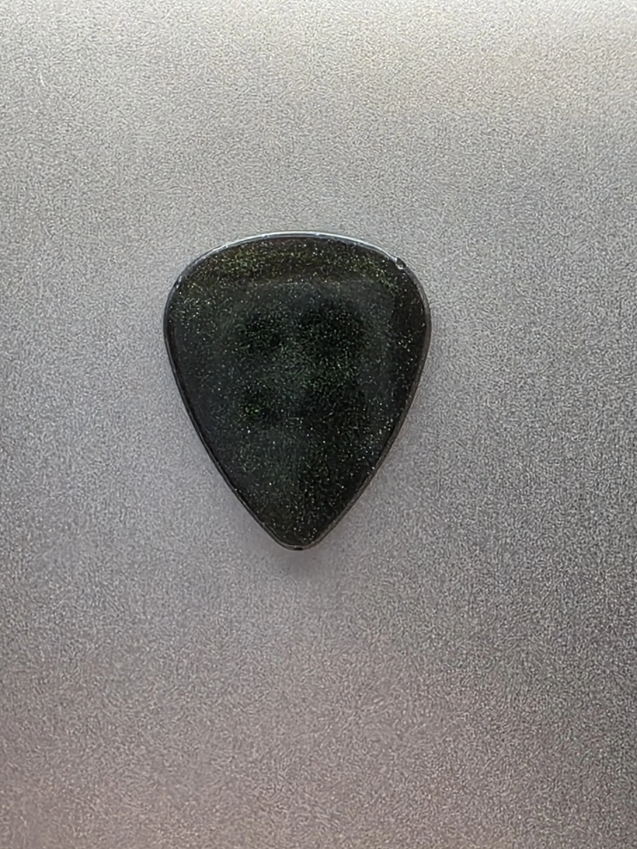 Green & Black Chameleon Magnet