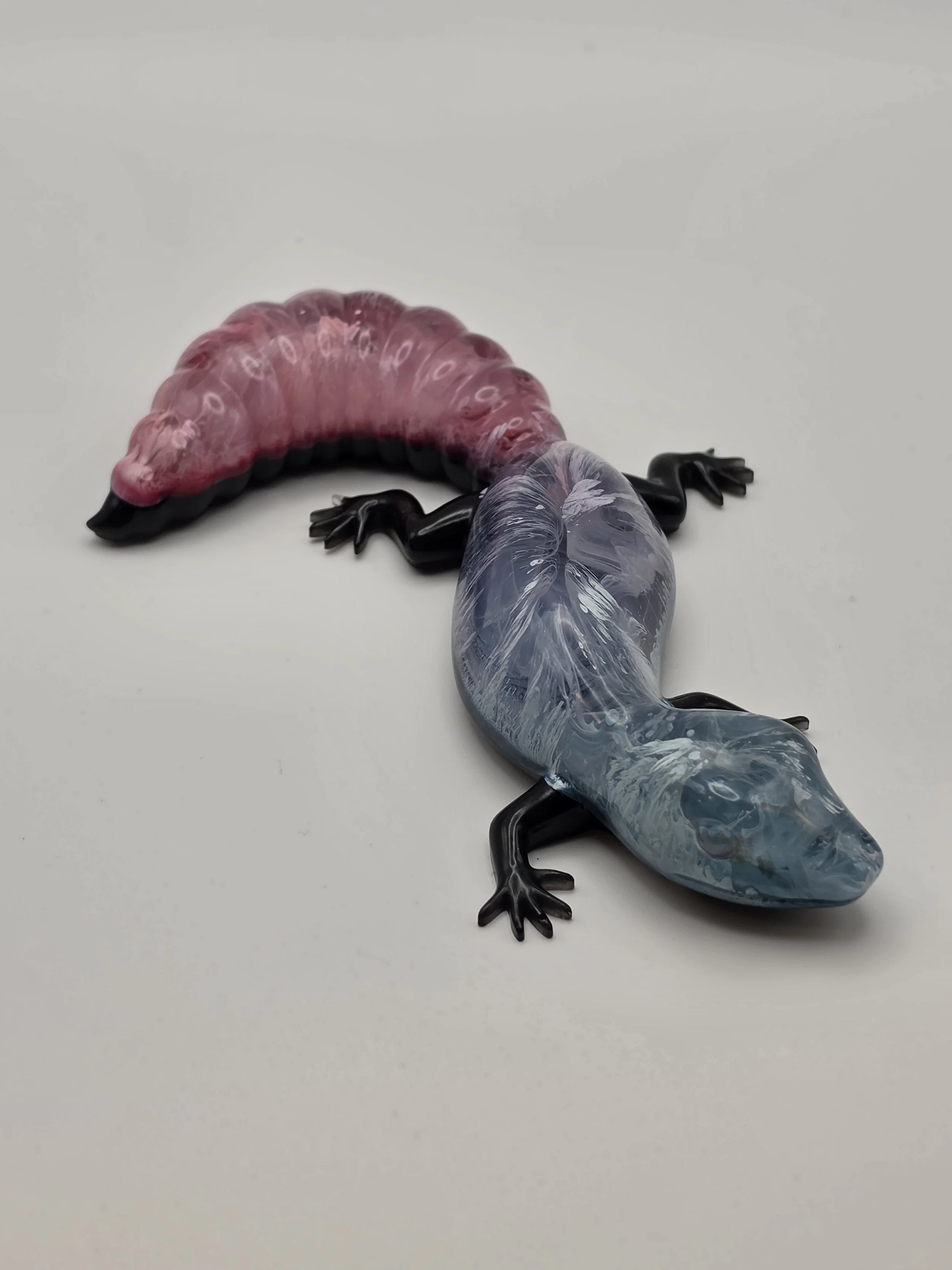 Multicolor Petri Gecko