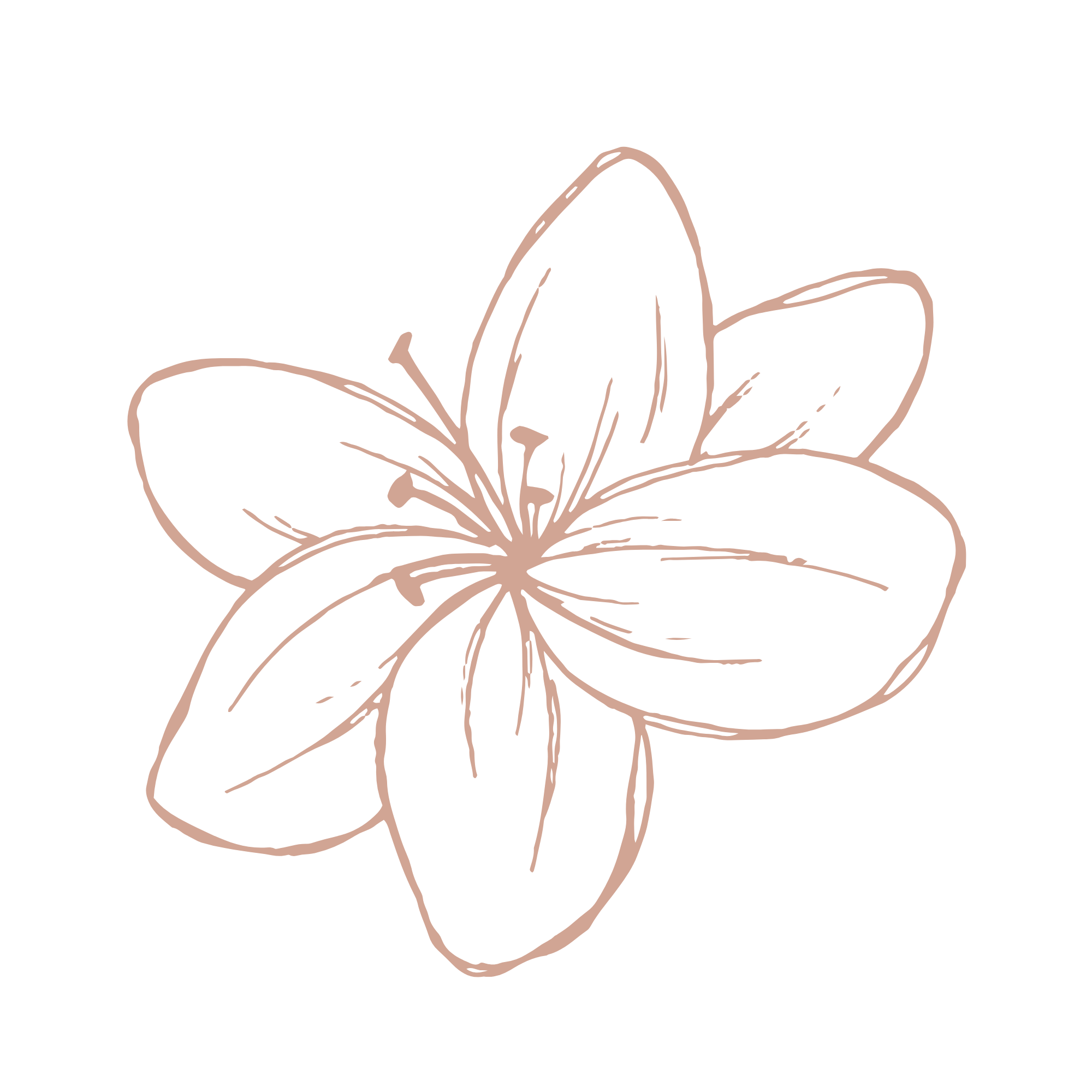Outline drawing of a flower on a black background.