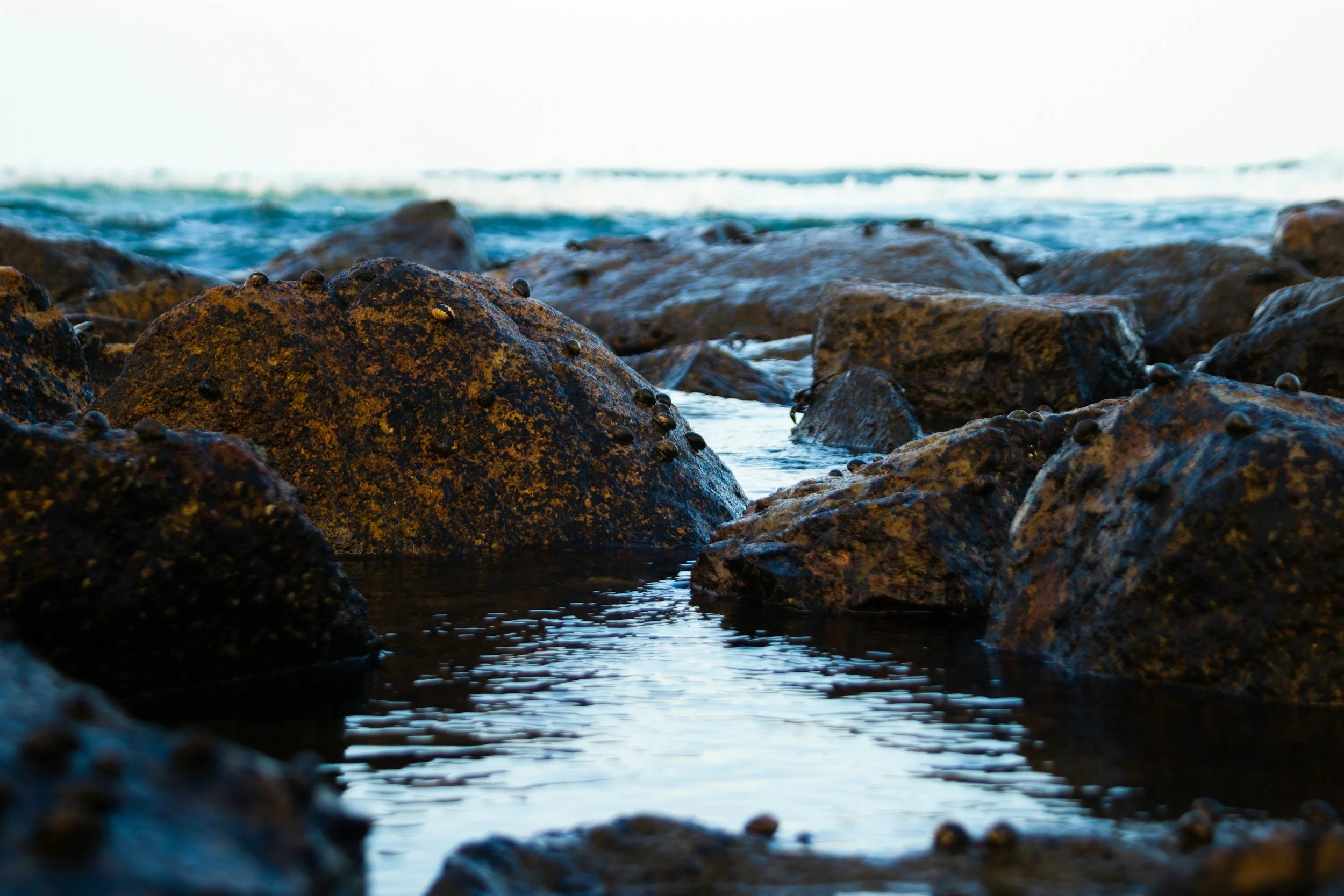 unsplash-image-9Pq2riM7F3o.jpg