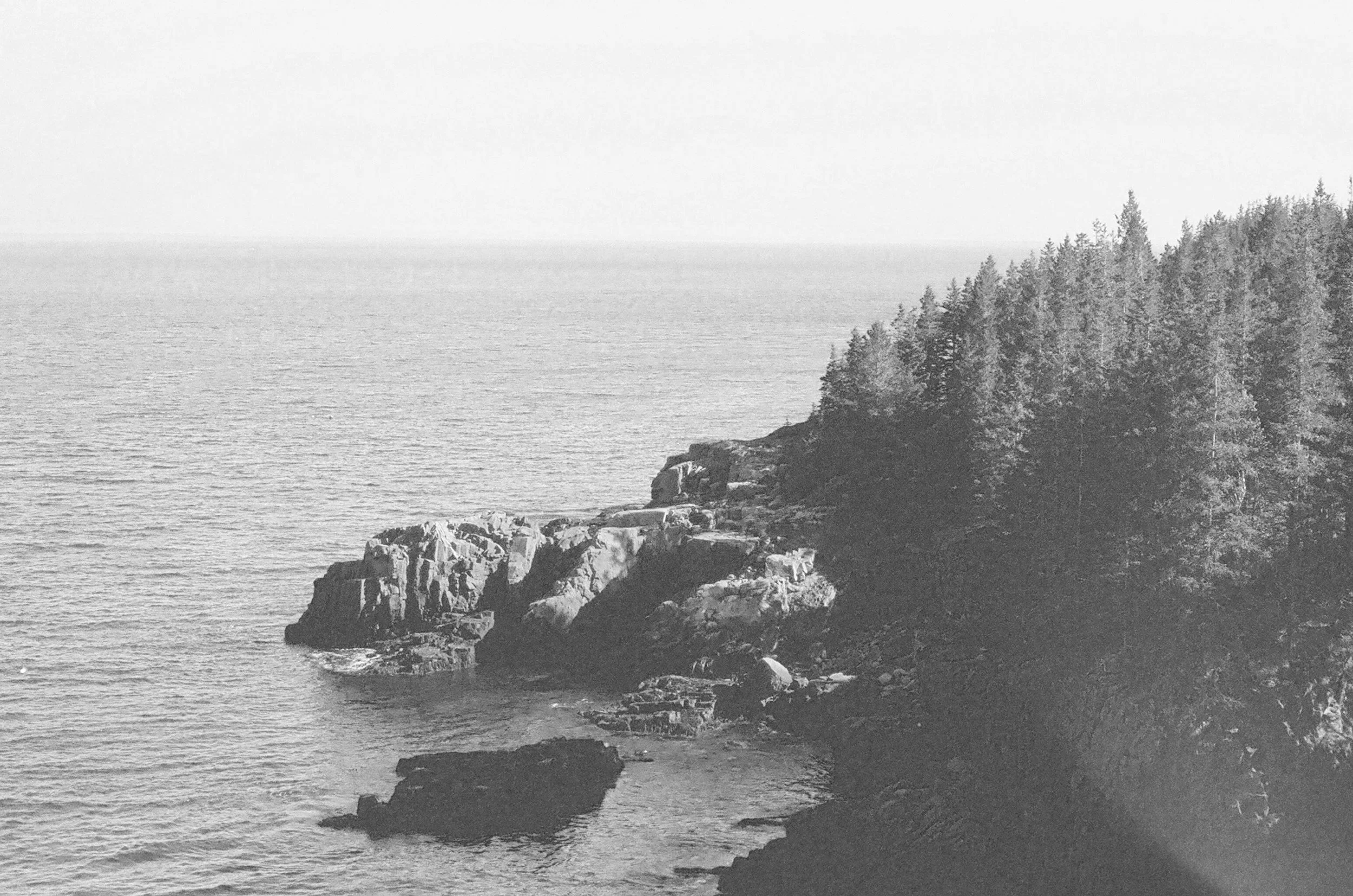 unsplash-image-w5DaMY-XY-Q.jpg