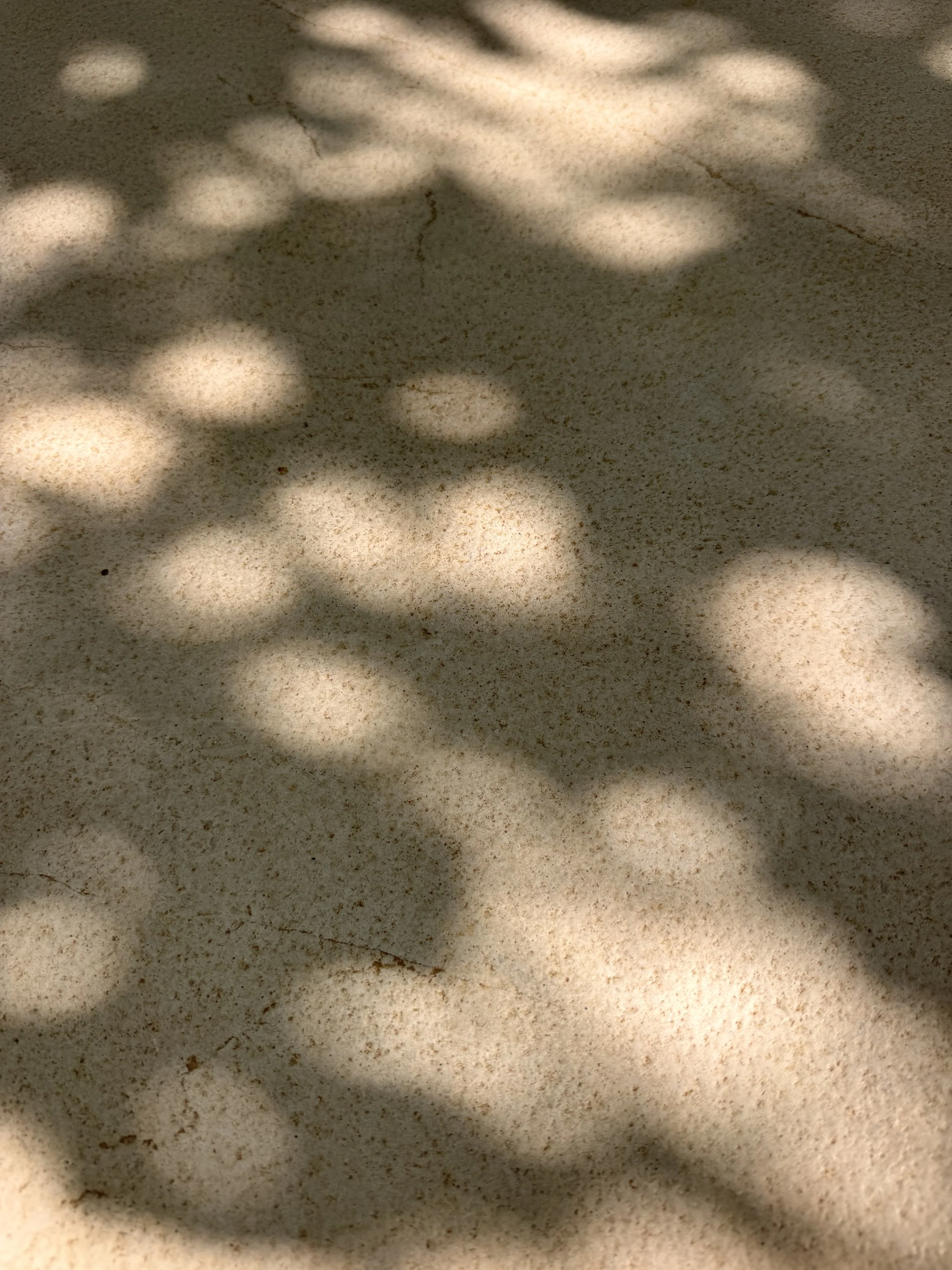 IMG_0516.jpeg