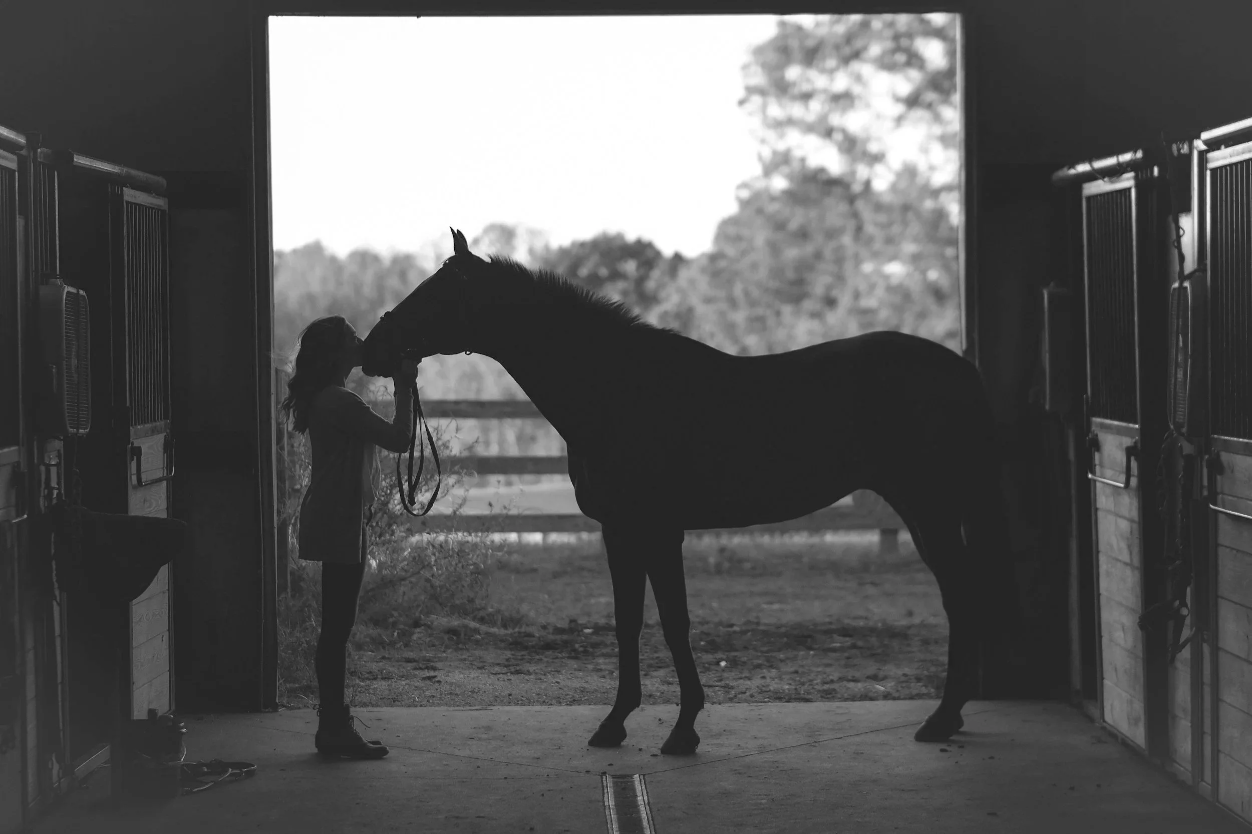 A girl in riding attire holding the bridle of a horse inside a barn, with trees visible outside through the open barn doors.