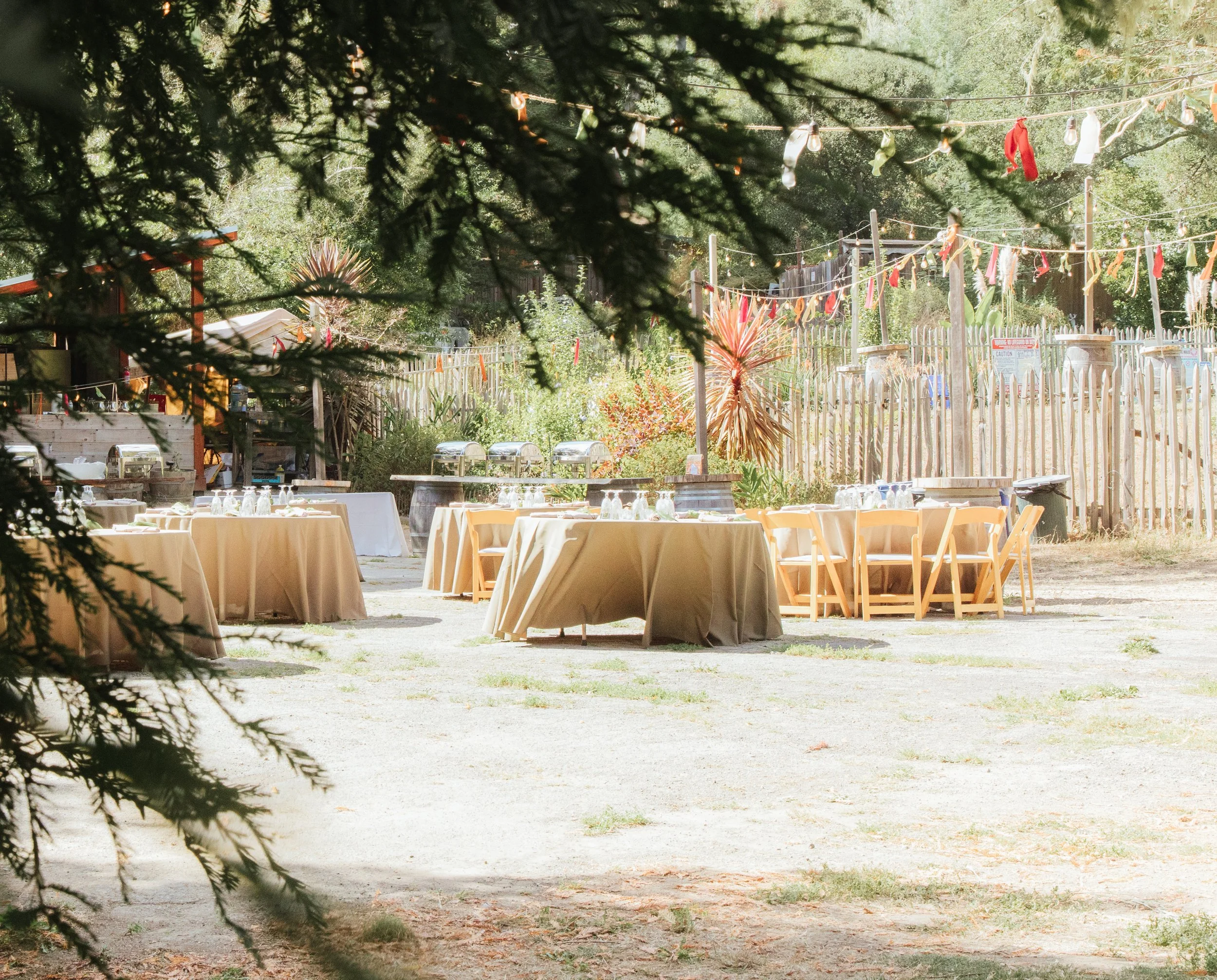 241A1658.jpg