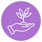 Hand holding a sprouting plant inside a purple circle