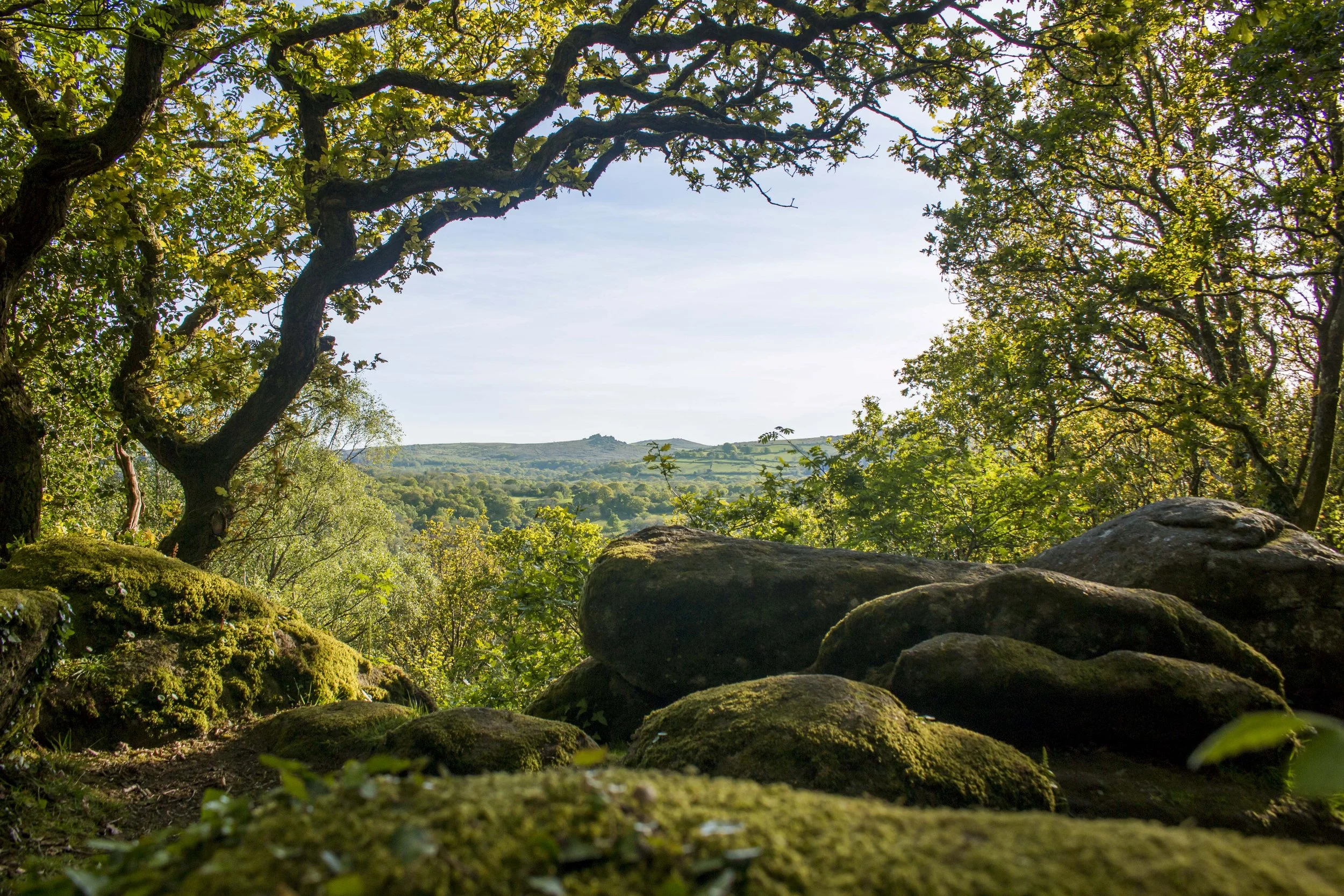 View through a rocky opening in a forest showing moss-covered rocks, leafy trees, and a distant landscape with hills under a clear sky.