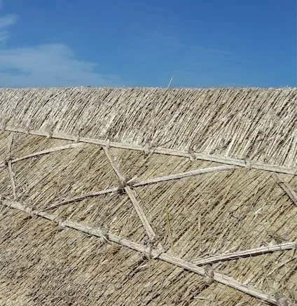 south west butt up ridge using wheat straw in Cornwall and Devon Elijah Francis master thatcher thatching services
