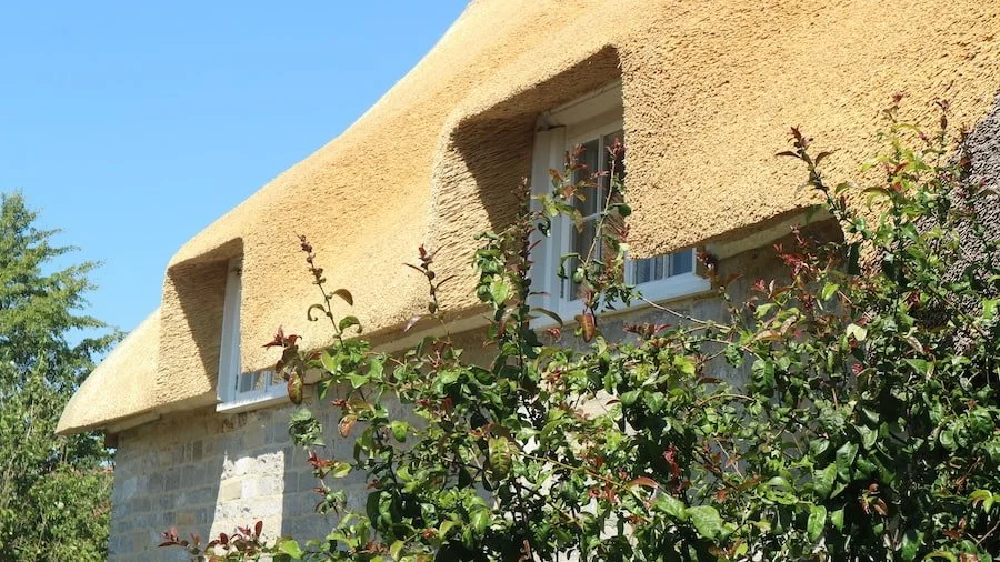 wheat straw thatching south west by master thatcher Elijah Francis using traditional services in Cornwall and Devon