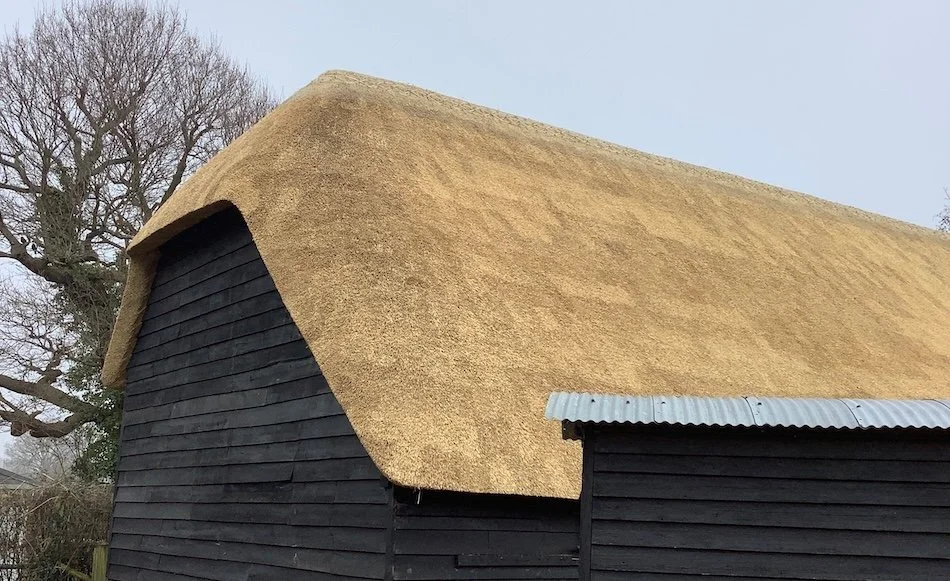 south west water reed thatching master thatcher Elijah Francis thatching