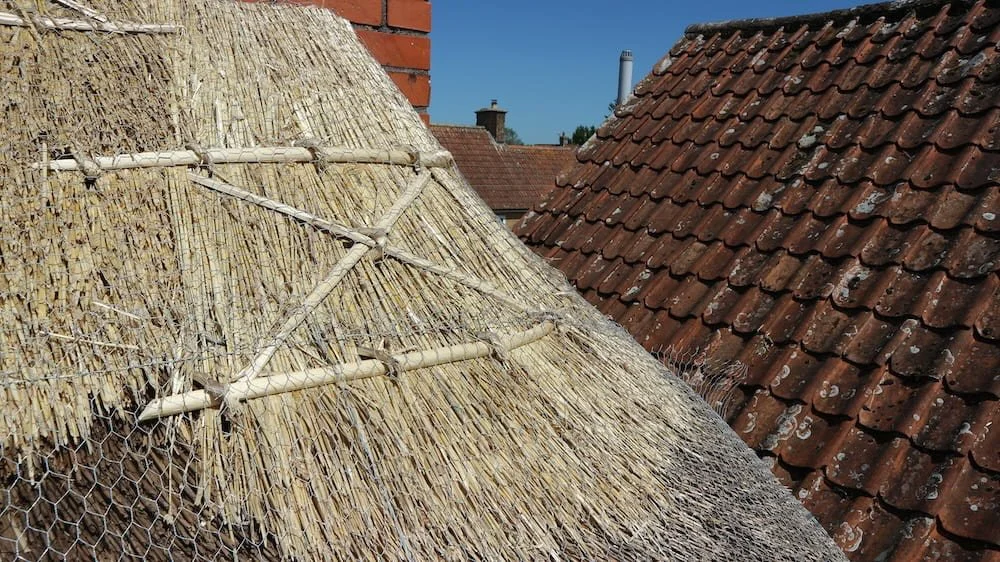 south west thatch ridge using wheat straw and willow in Cornwall and Devon master thatcher Elijah Francis