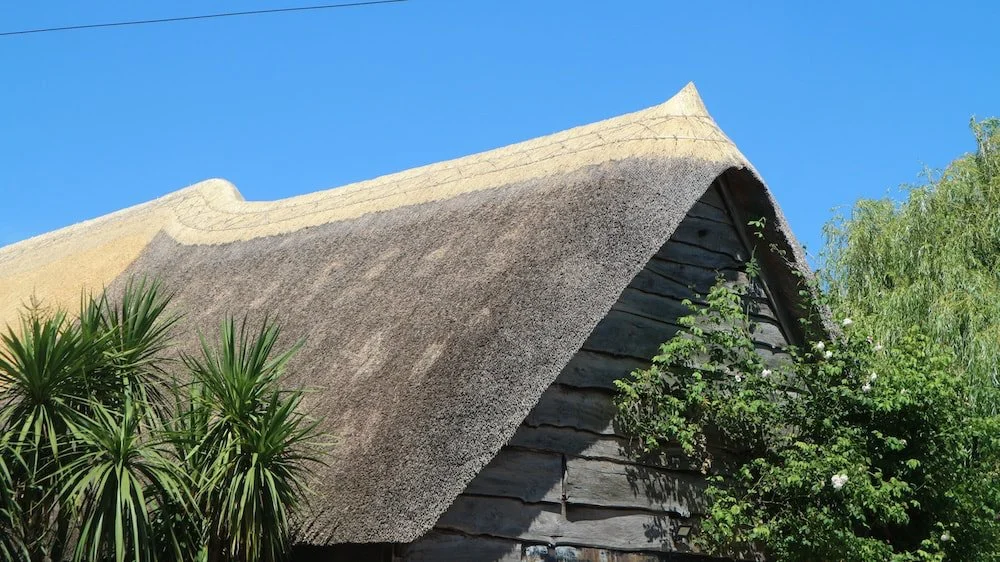 Butt up wheat straw ridge by master thatcher Elijah Francis south west in Cornwall and Devon