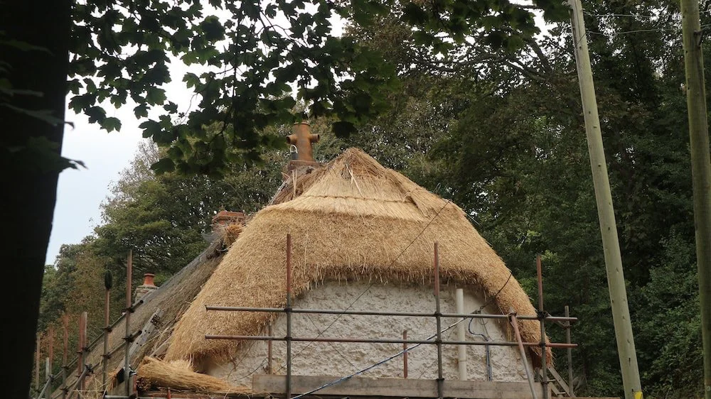 wheat straw re-thatch south west using traditional methods offering professional services in Cornwall and Devon