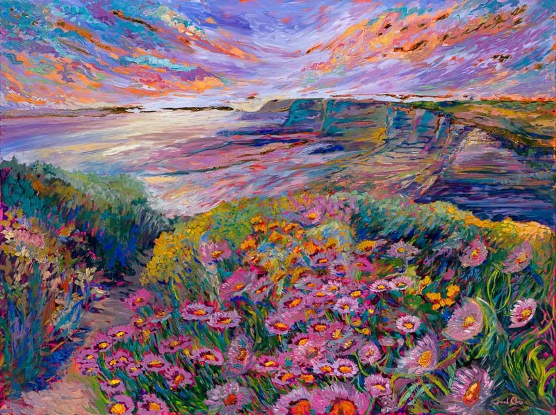 Coastal Daisies