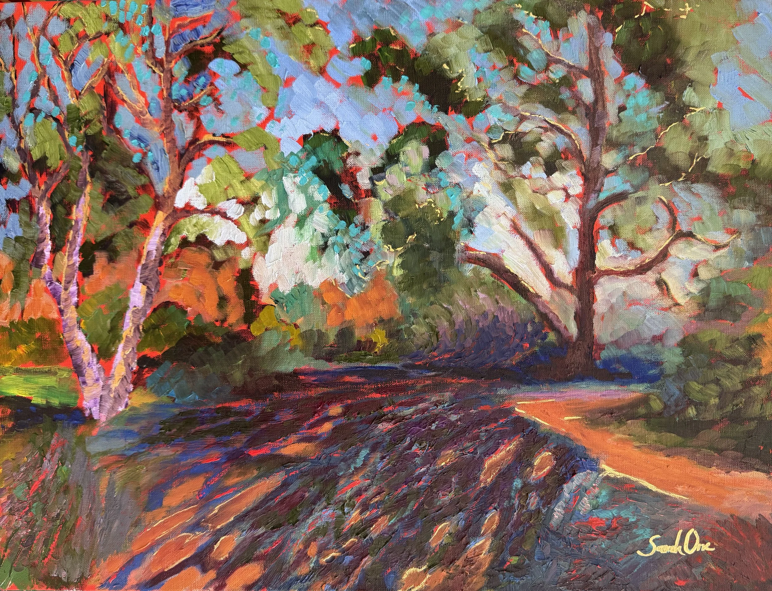 Gathered Shadows